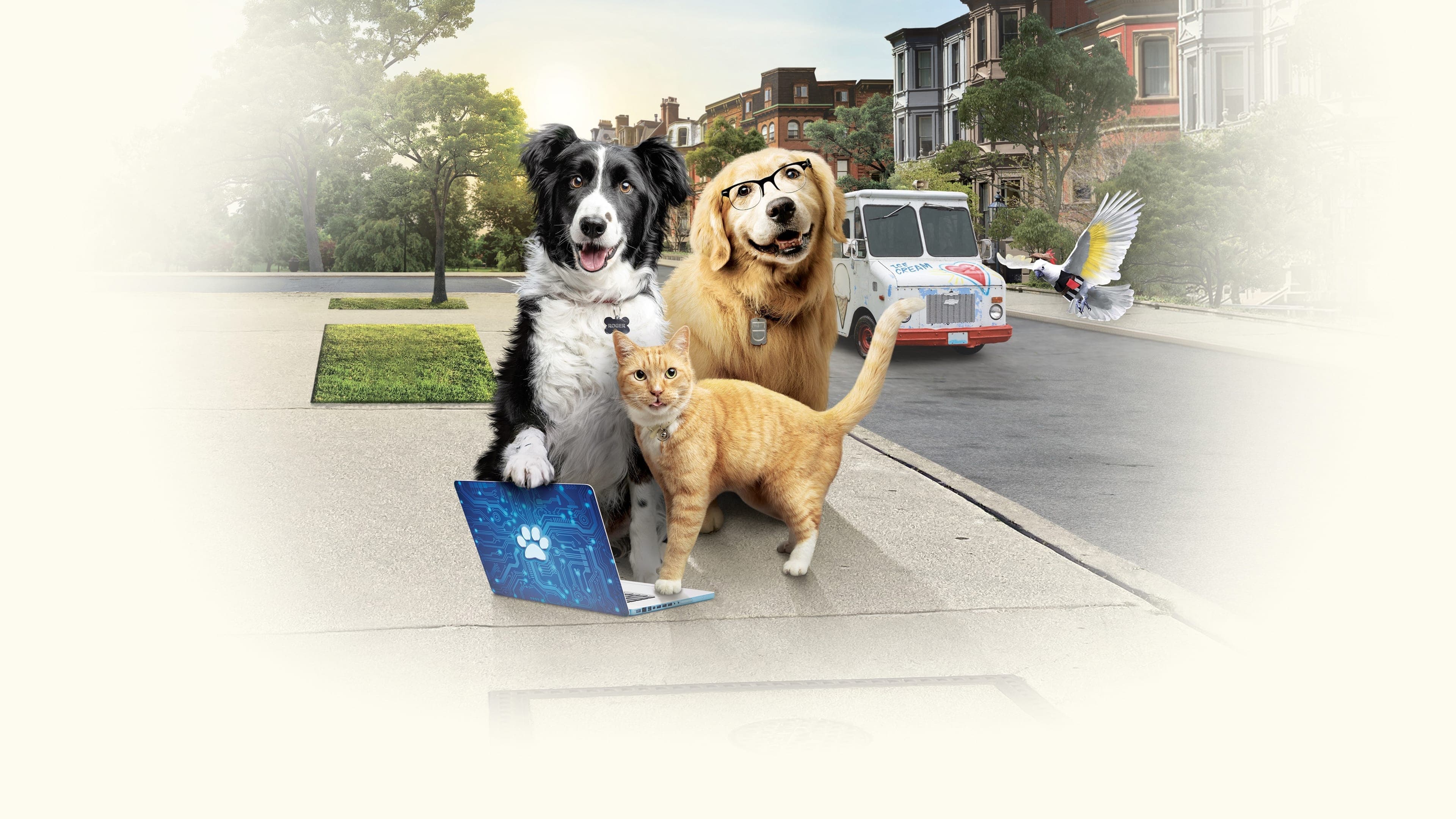 Cani e gatti 3 - Zampe unite