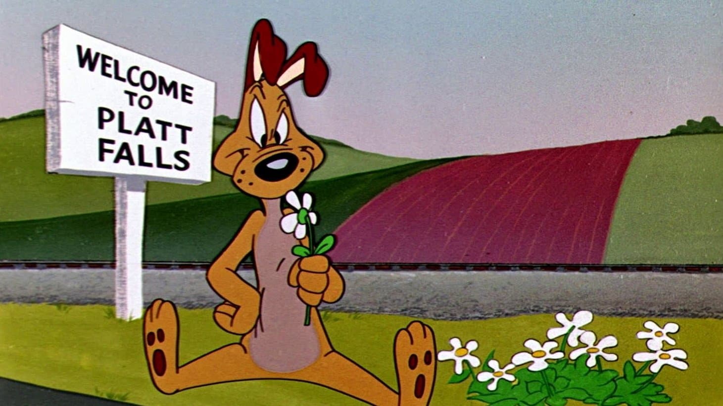 Un cane opportunista