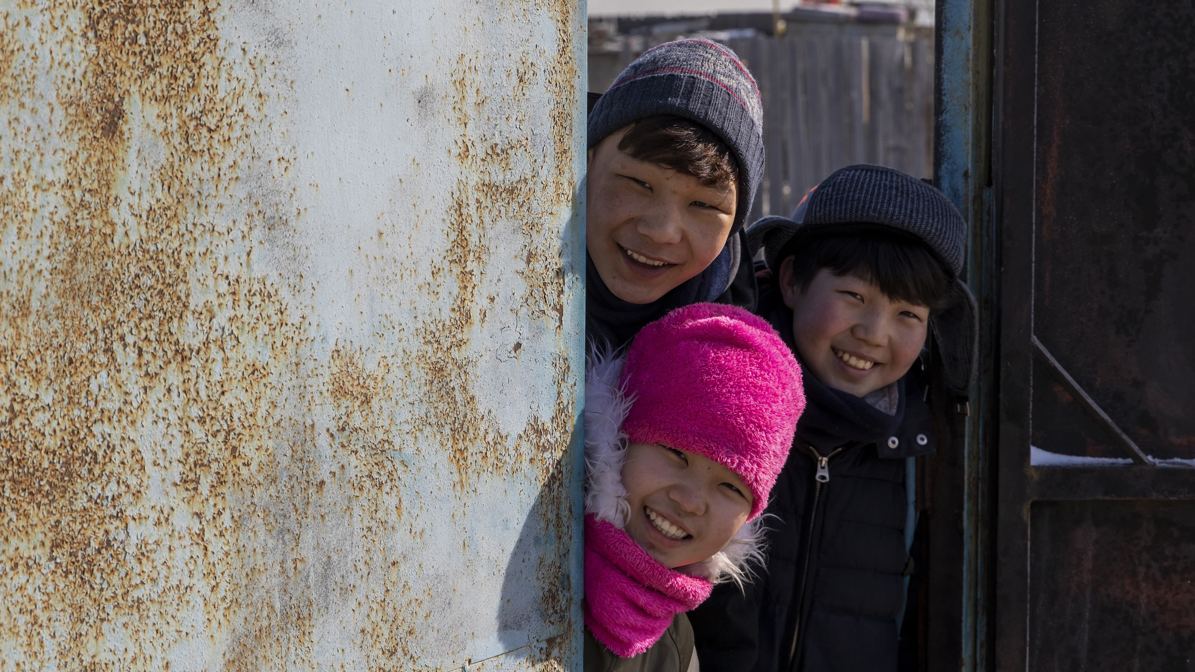 Se solo fossi un orso