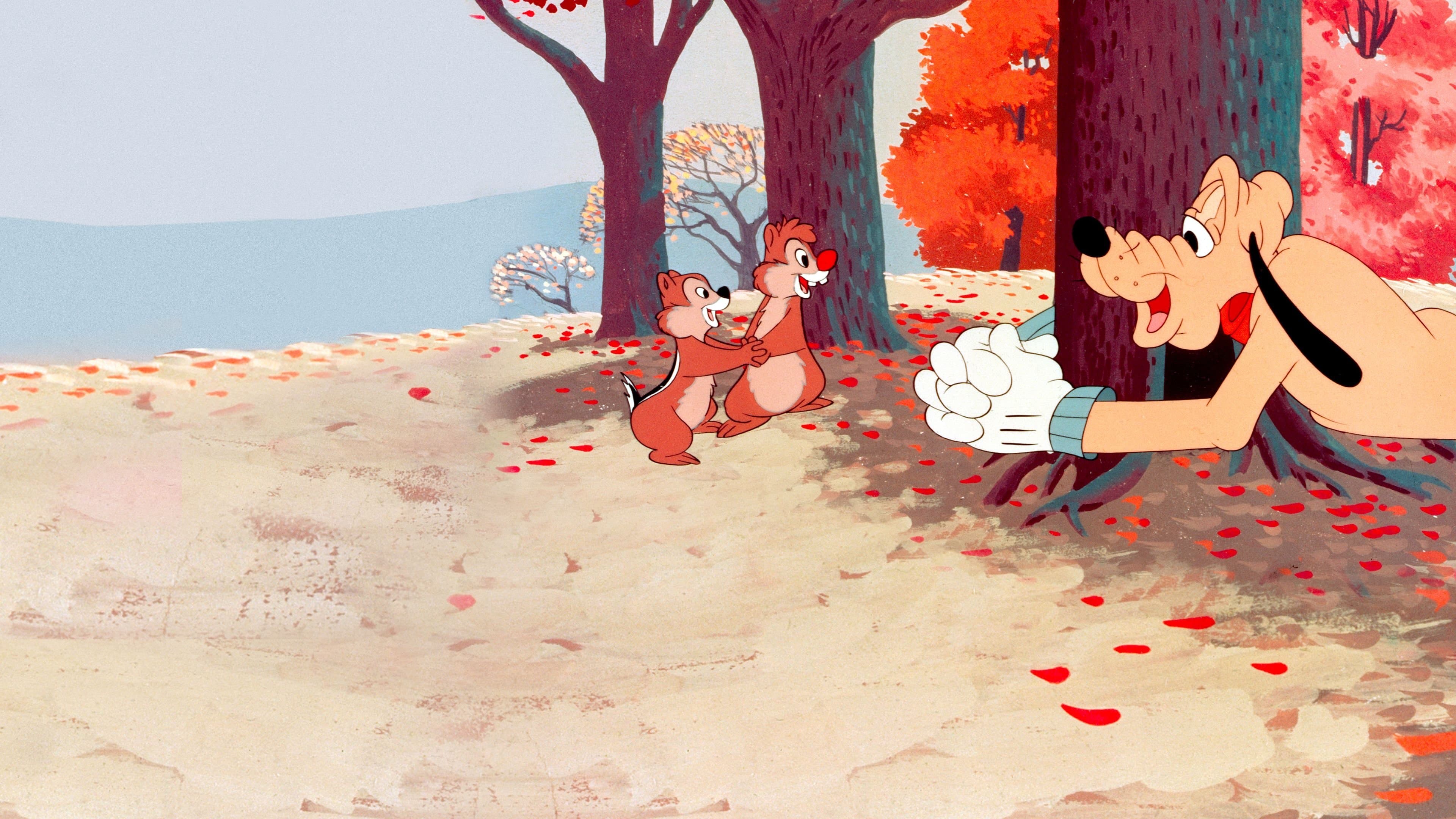 Un motivo per bisticciare