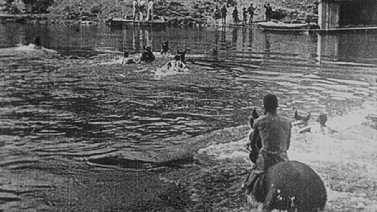 Dragons traversant la Saône à la nage