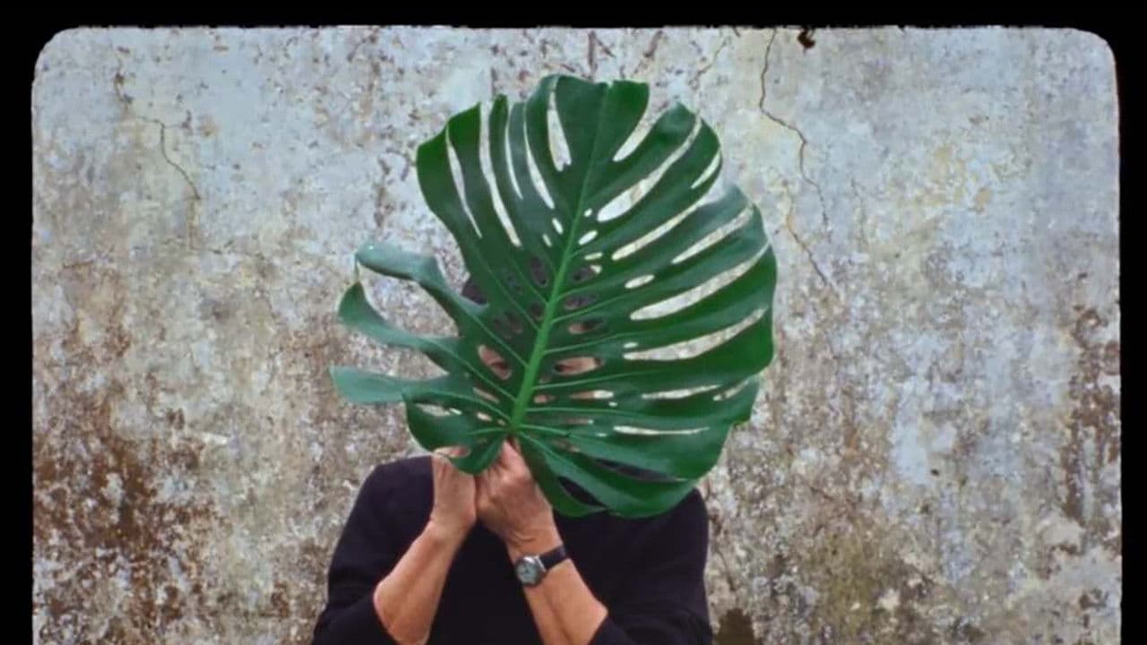 A volta ao mundo quando tinhas 30 anos