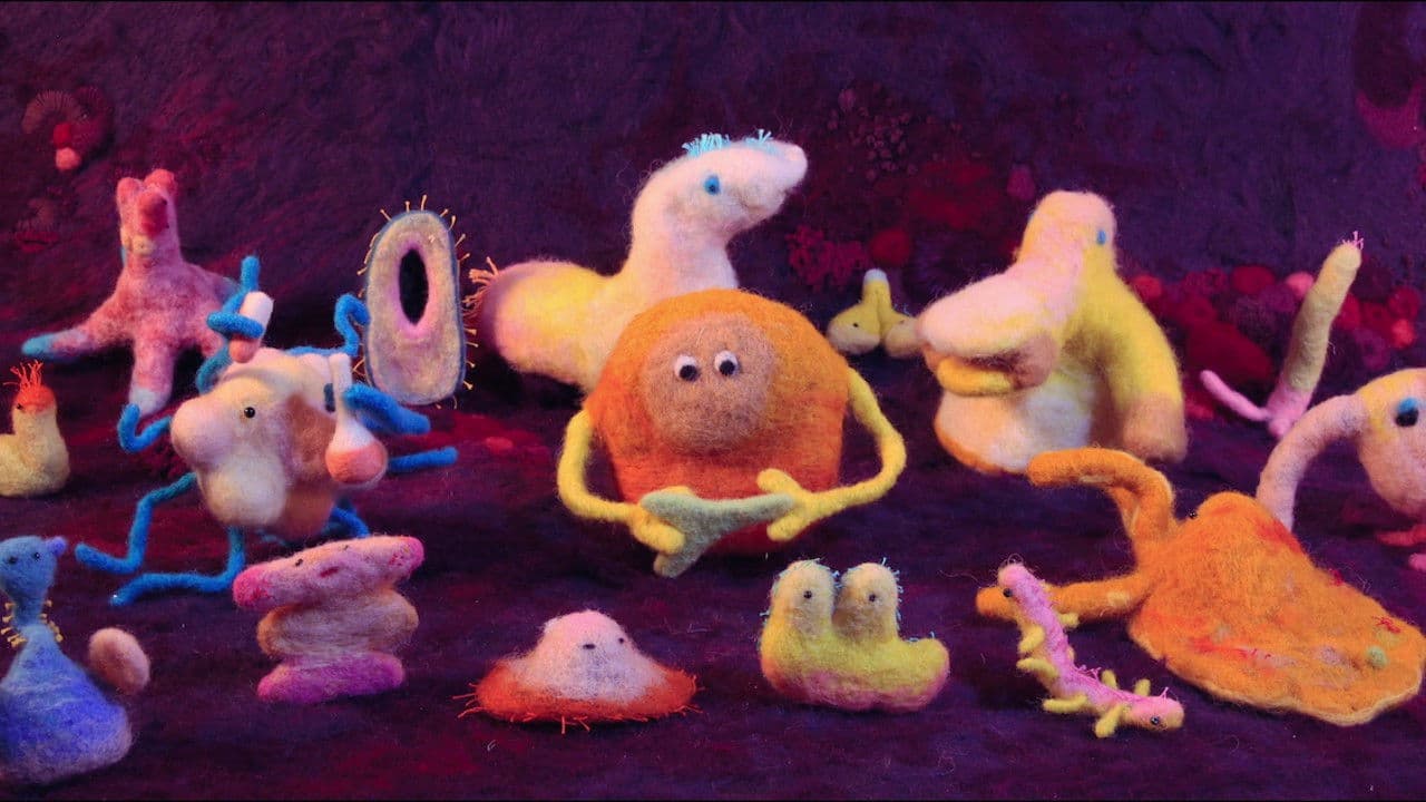 Hack Your Health - I segreti dell'alimentazione