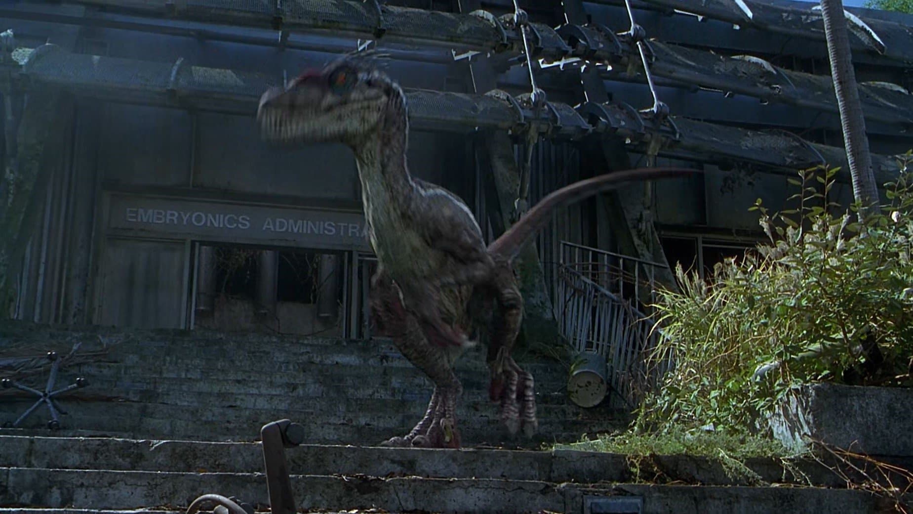 Beyond Jurassic Park