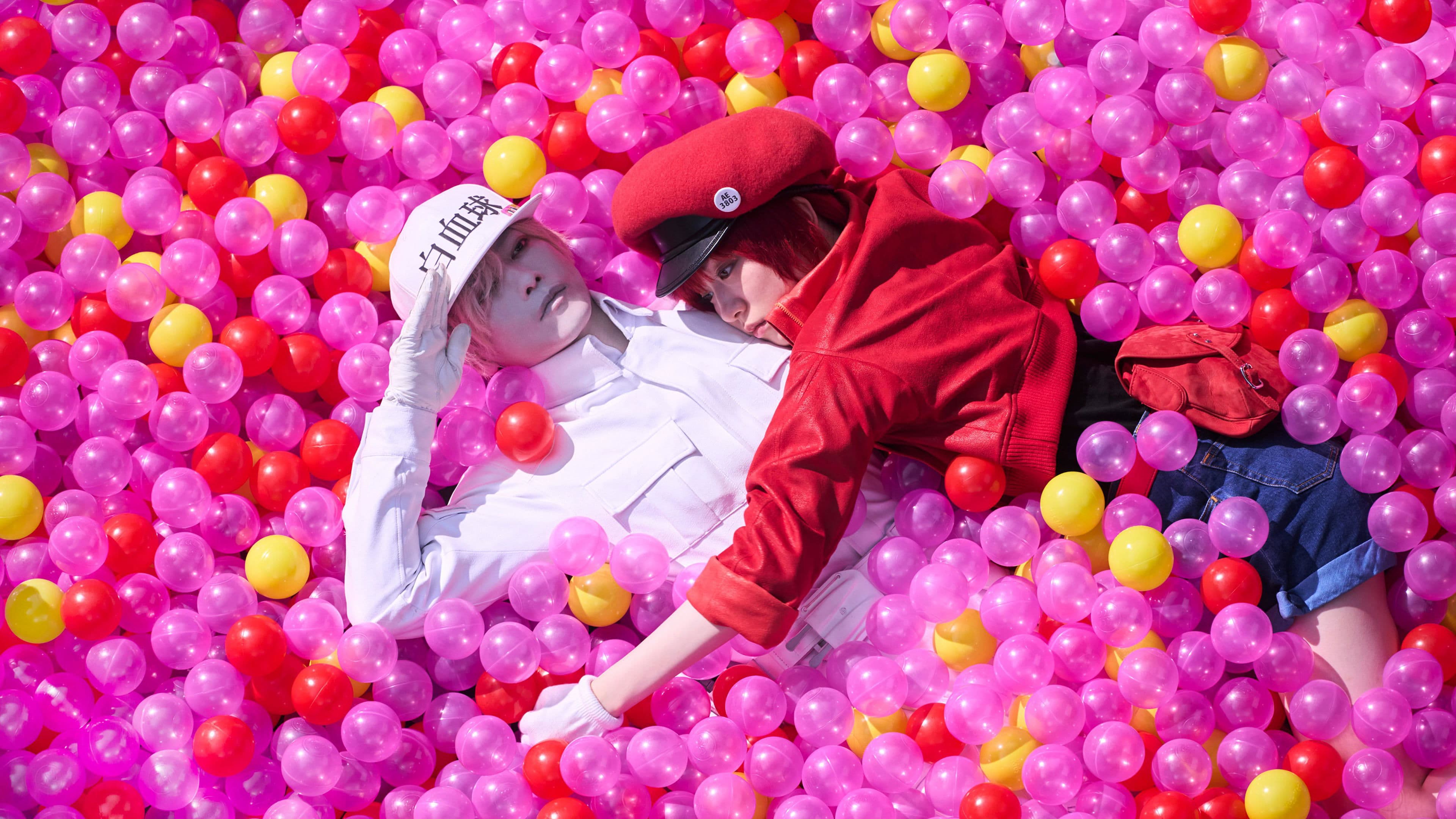 Cells at Work! - Lavori in corpo