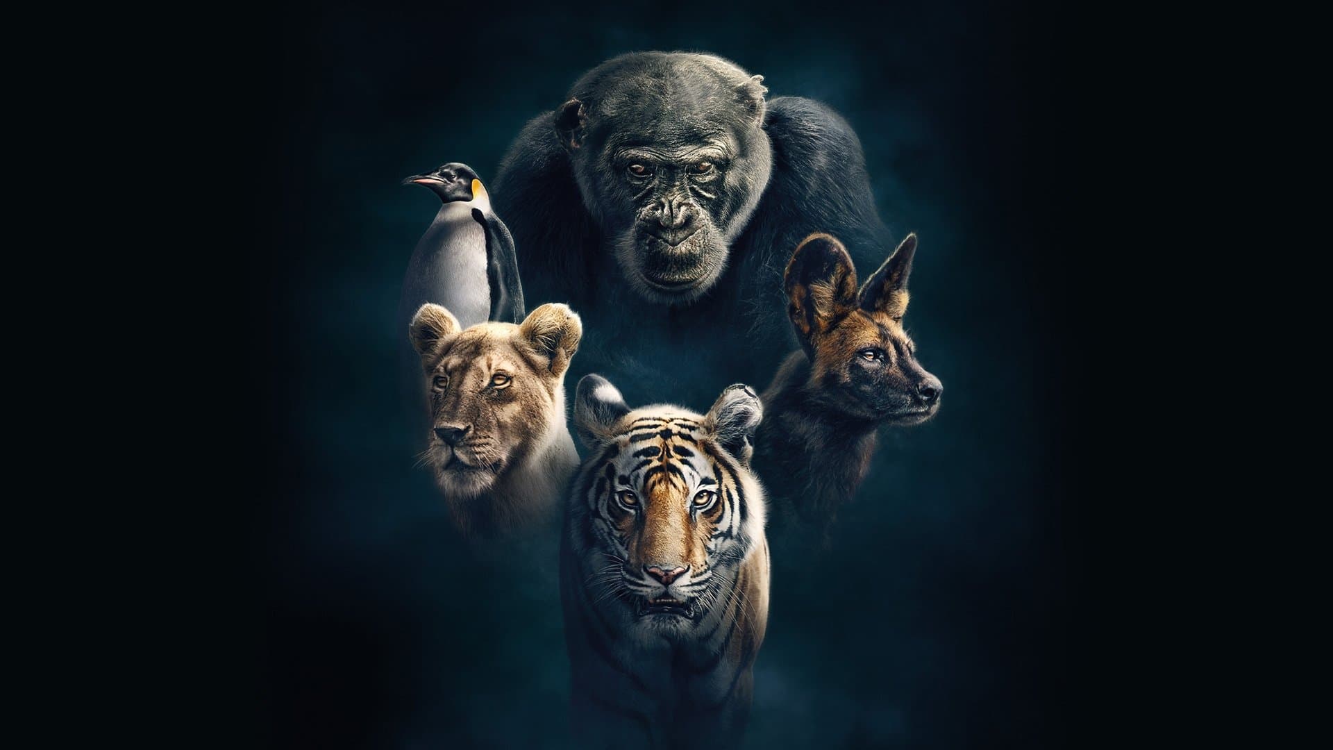Dynasties - I Migliori Della Loro Specie