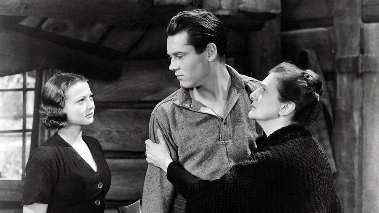 Il sentiero del pino solitario