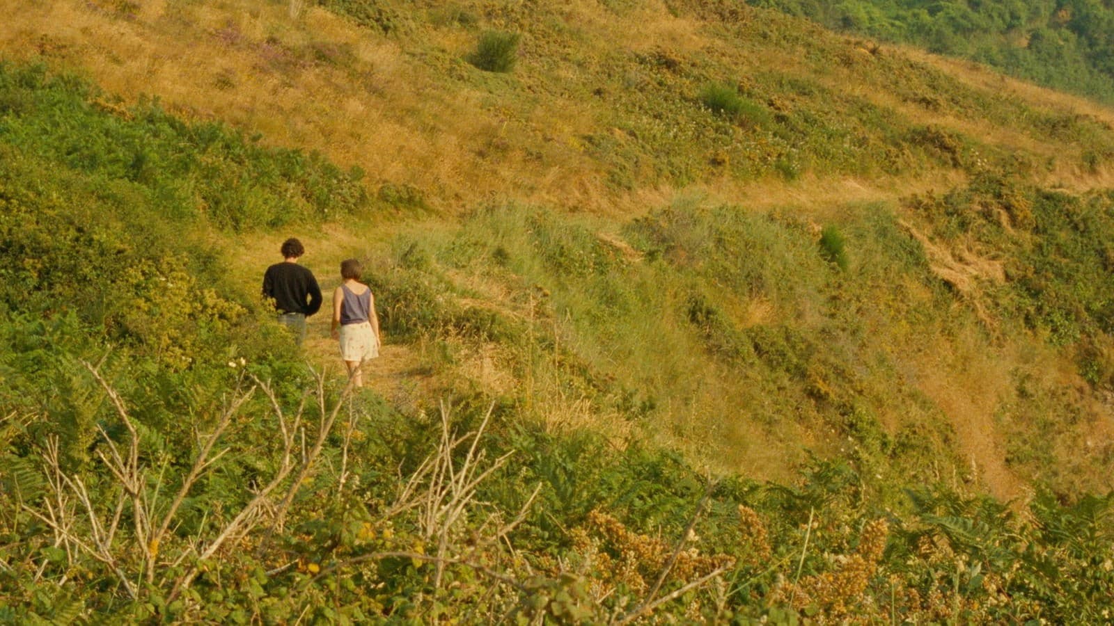 Un ragazzo, tre ragazze - Racconto d'estate