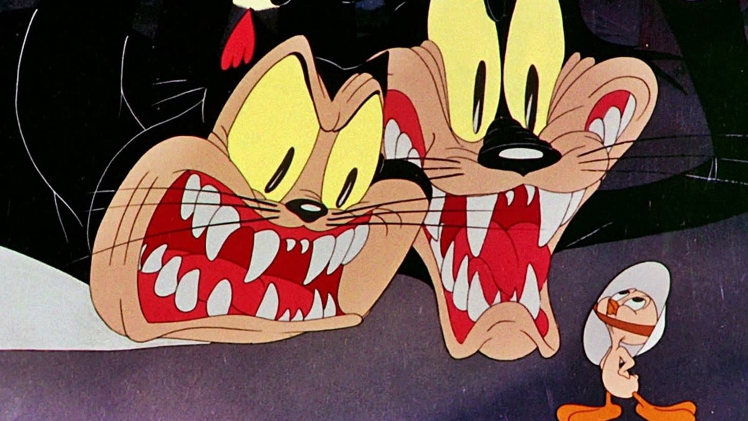 Due gatti contro Titti