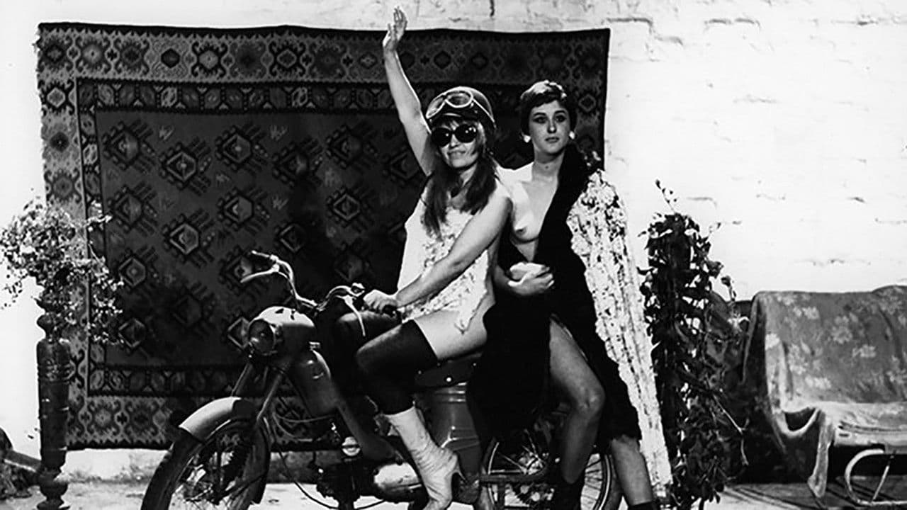 Il risveglio dei topi