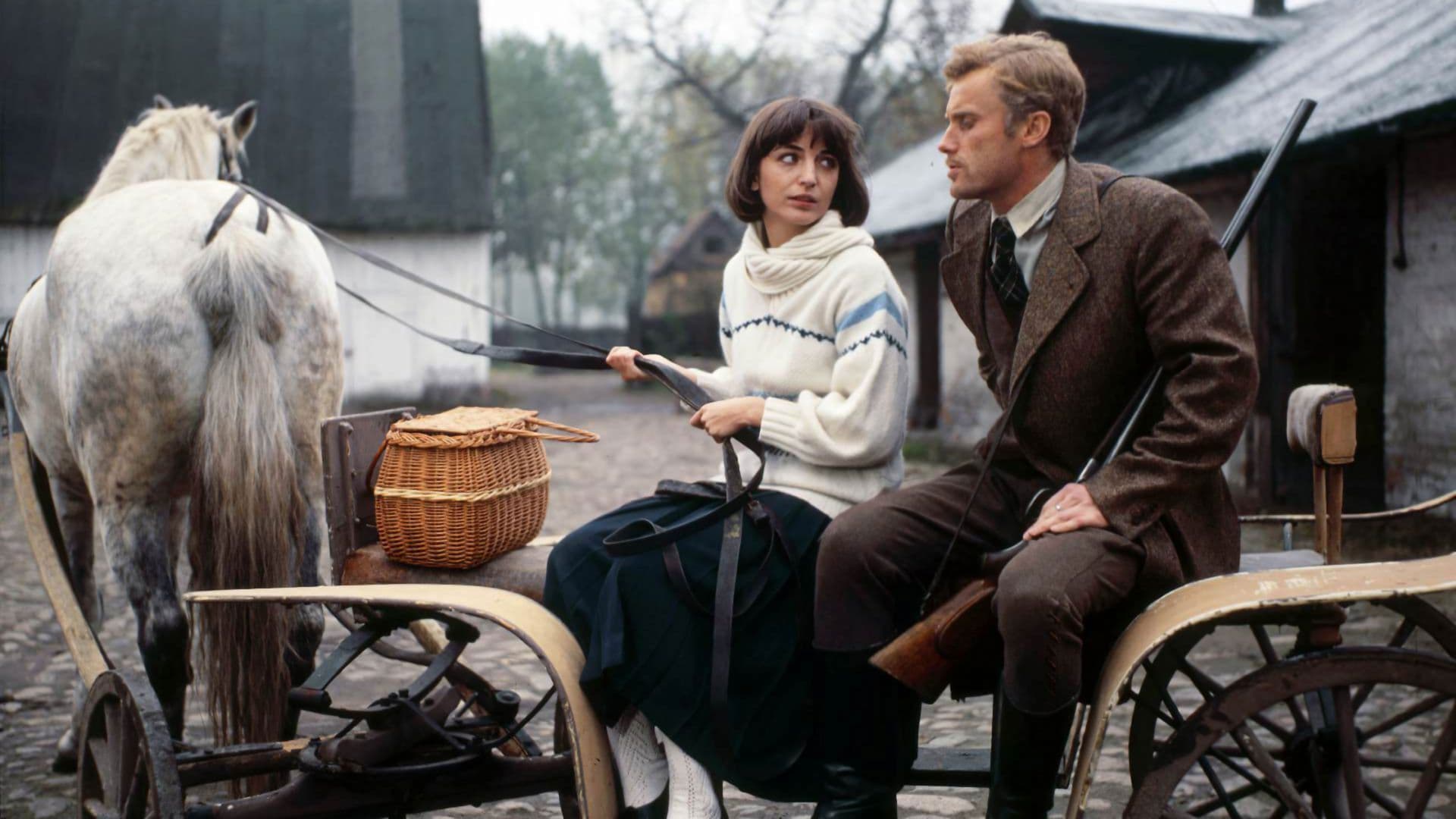 Le signorine di Wilko