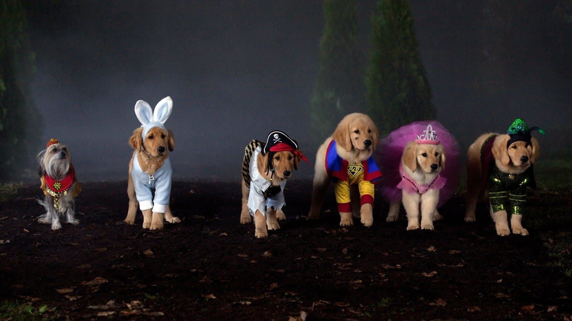 Supercuccioli - Un'avventura da paura!