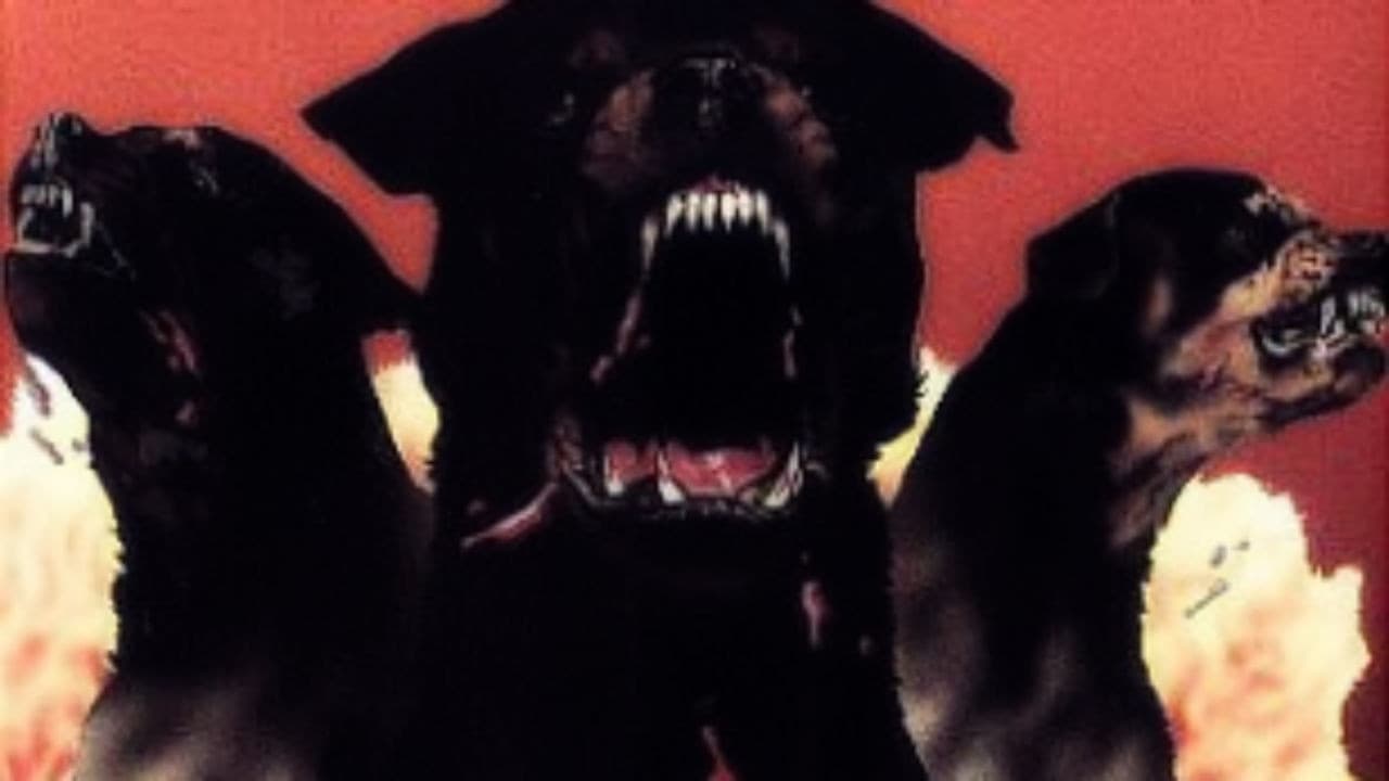 Rottweiler - Cani assassini