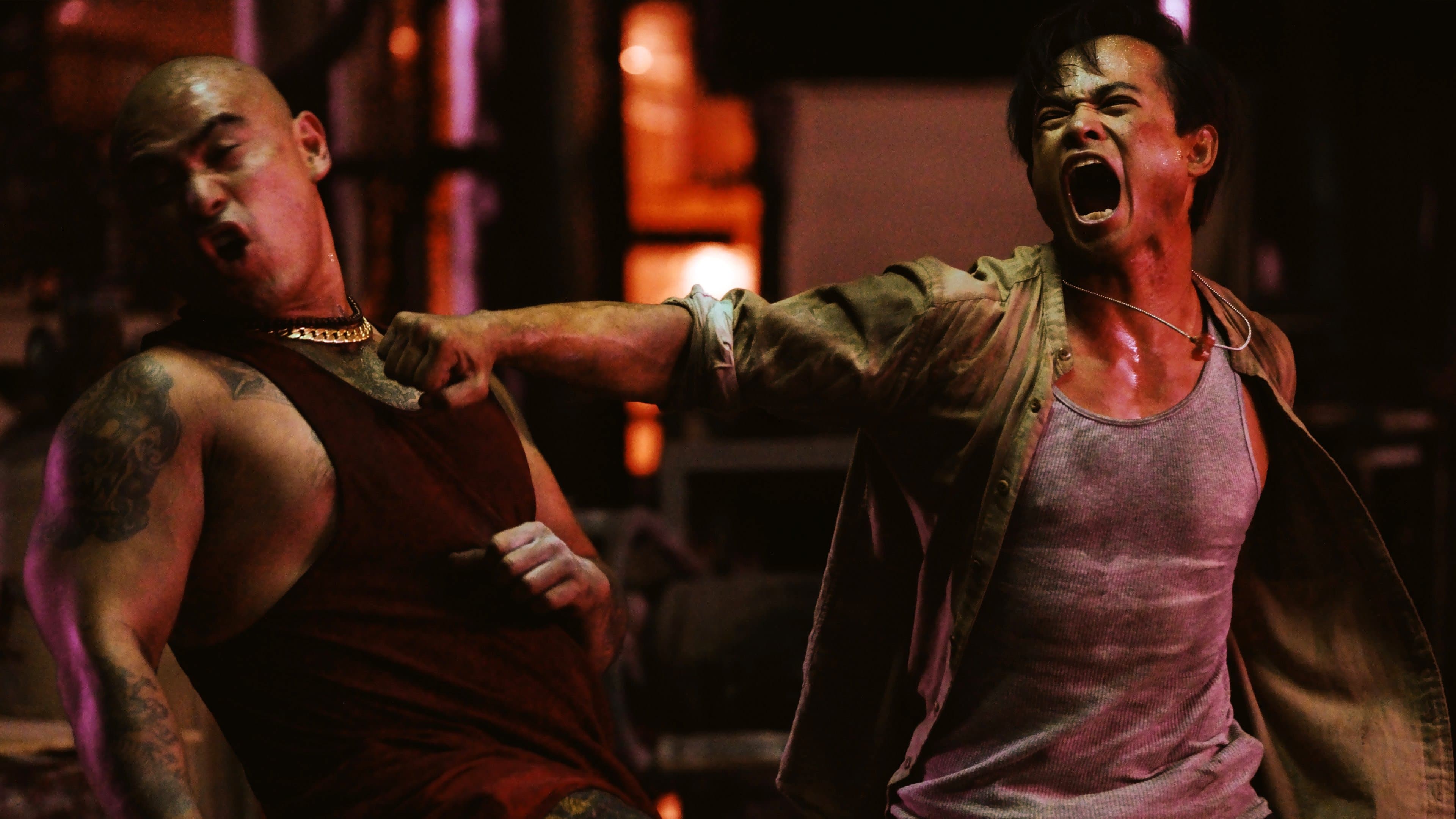 Bangkok Dog - Missione finale