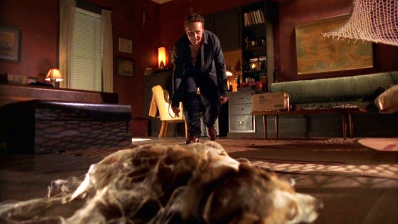 La vendetta del ragno nero