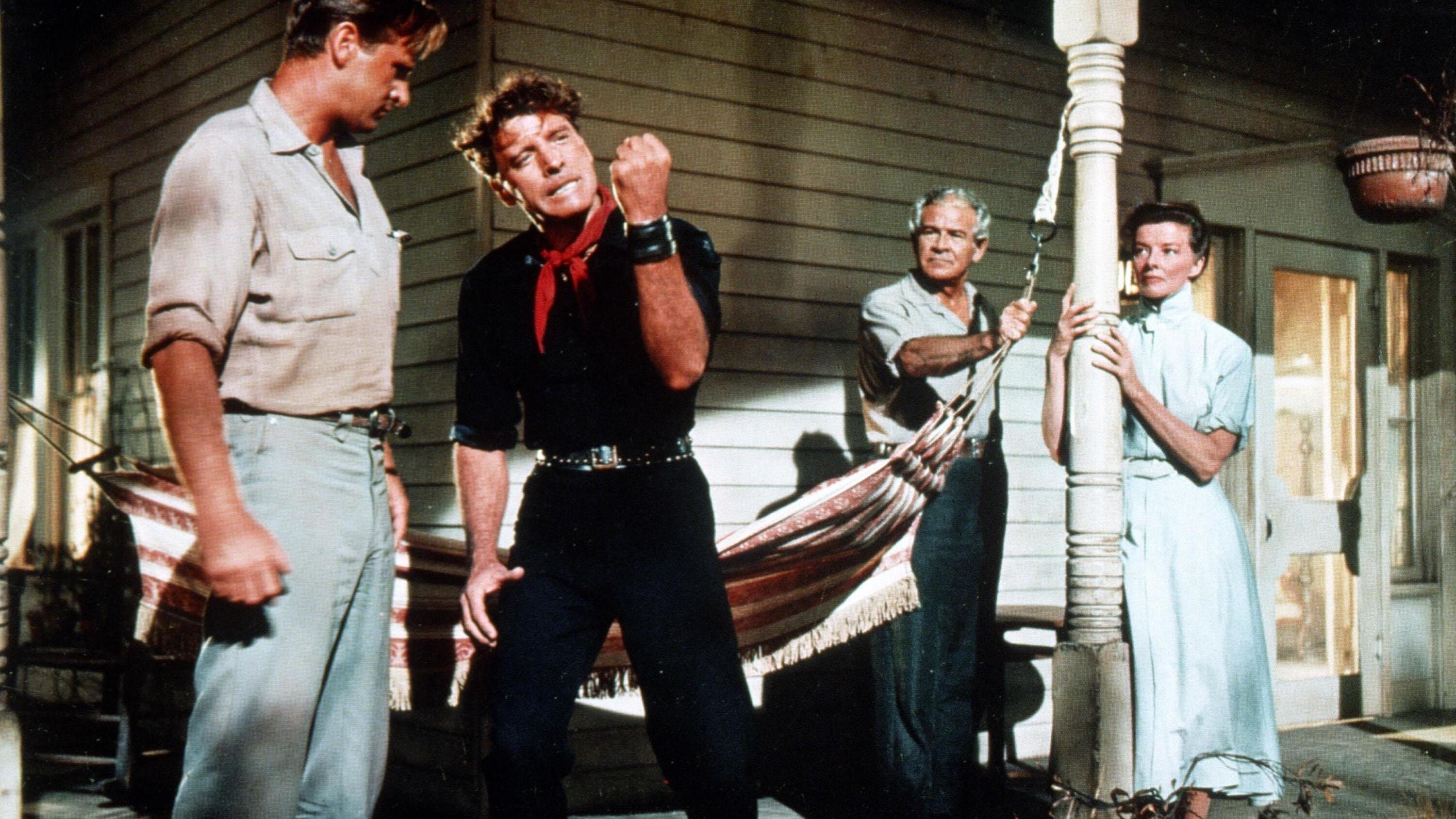 Il mago della pioggia