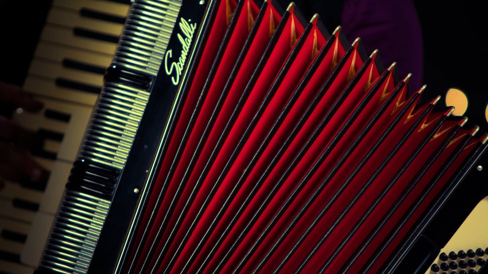 ‘Pedazo de acordeón’, un viaje a través de la historia del vallenato