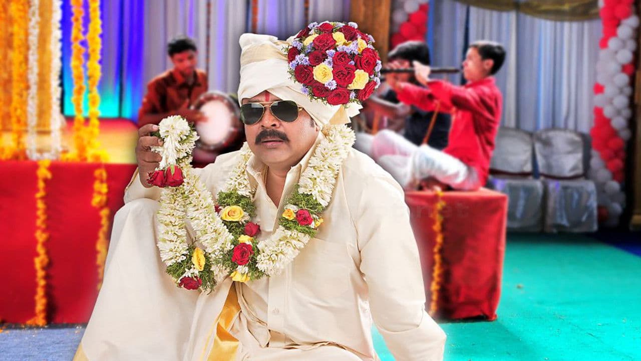 മിസ്റ്റർ മരുമകൻ