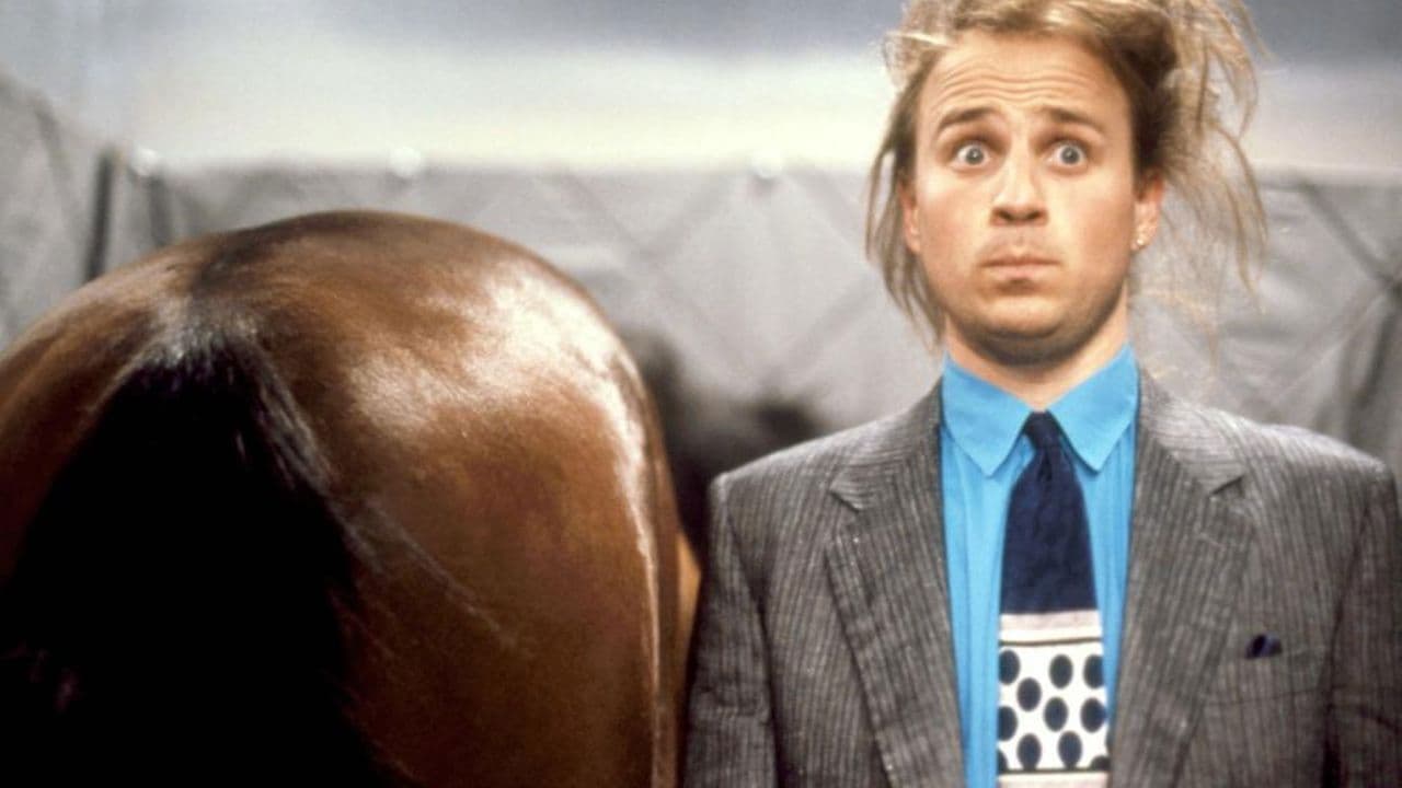 Don, un cavallo per amico