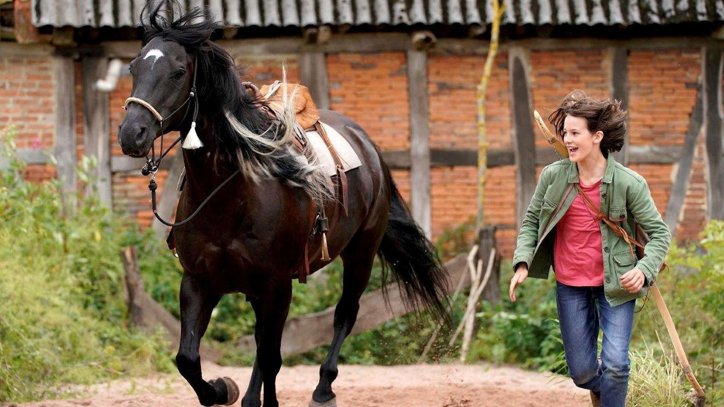 Windstorm 5 - Uniti per sempre