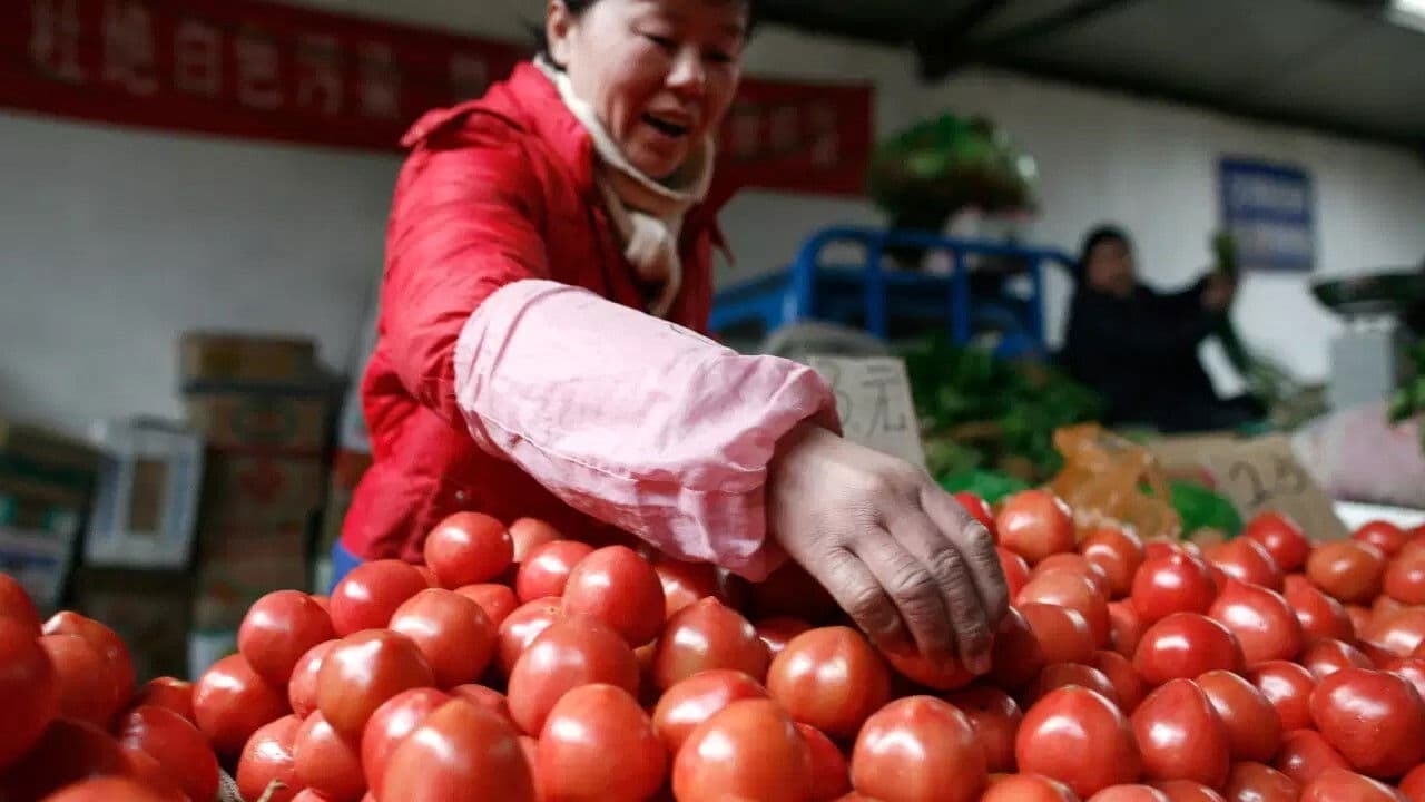 L'impero dell'oro rosso