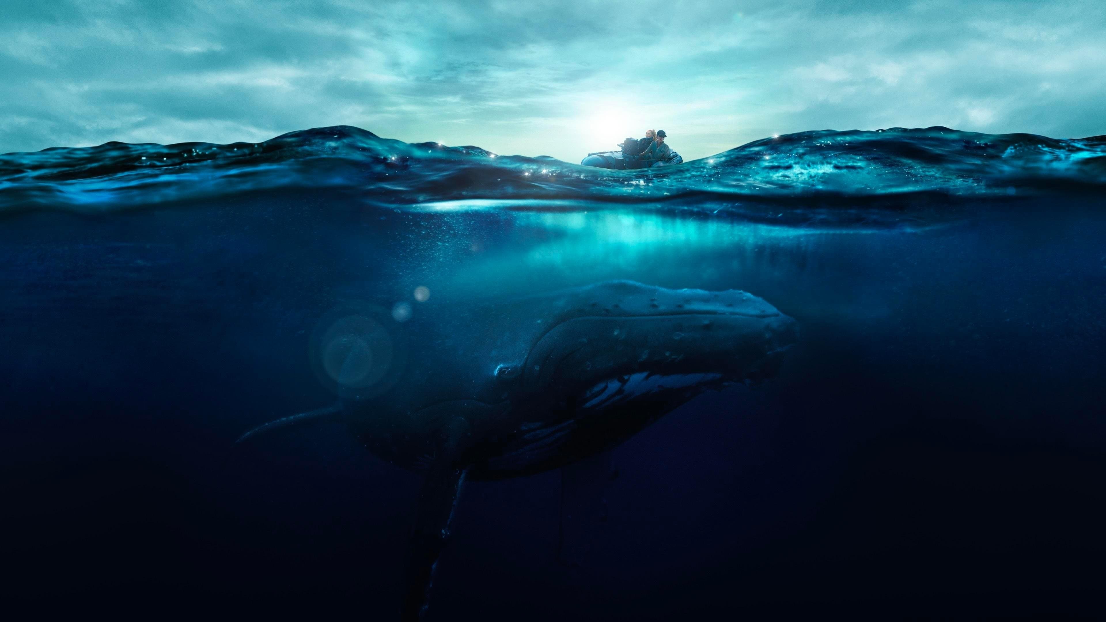 Fathom - In profondità