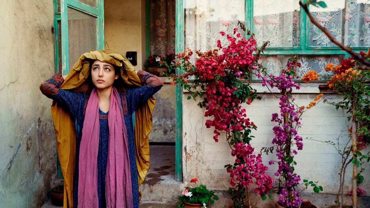 Come pietra paziente