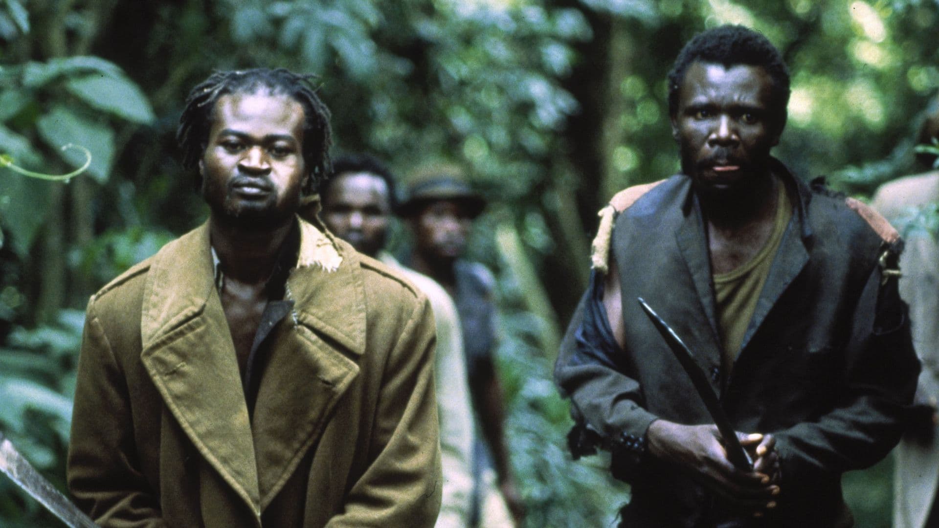 Kitchen Toto - Il colore della libertà