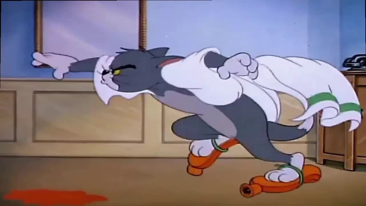 Il gatto con le bollicine