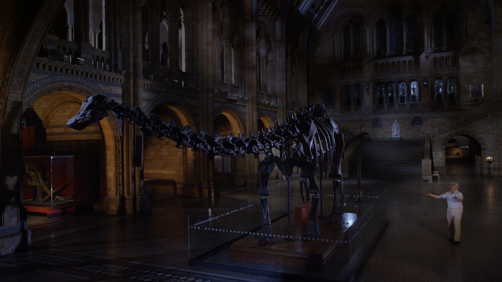 Una Notte Al Natural History Museum