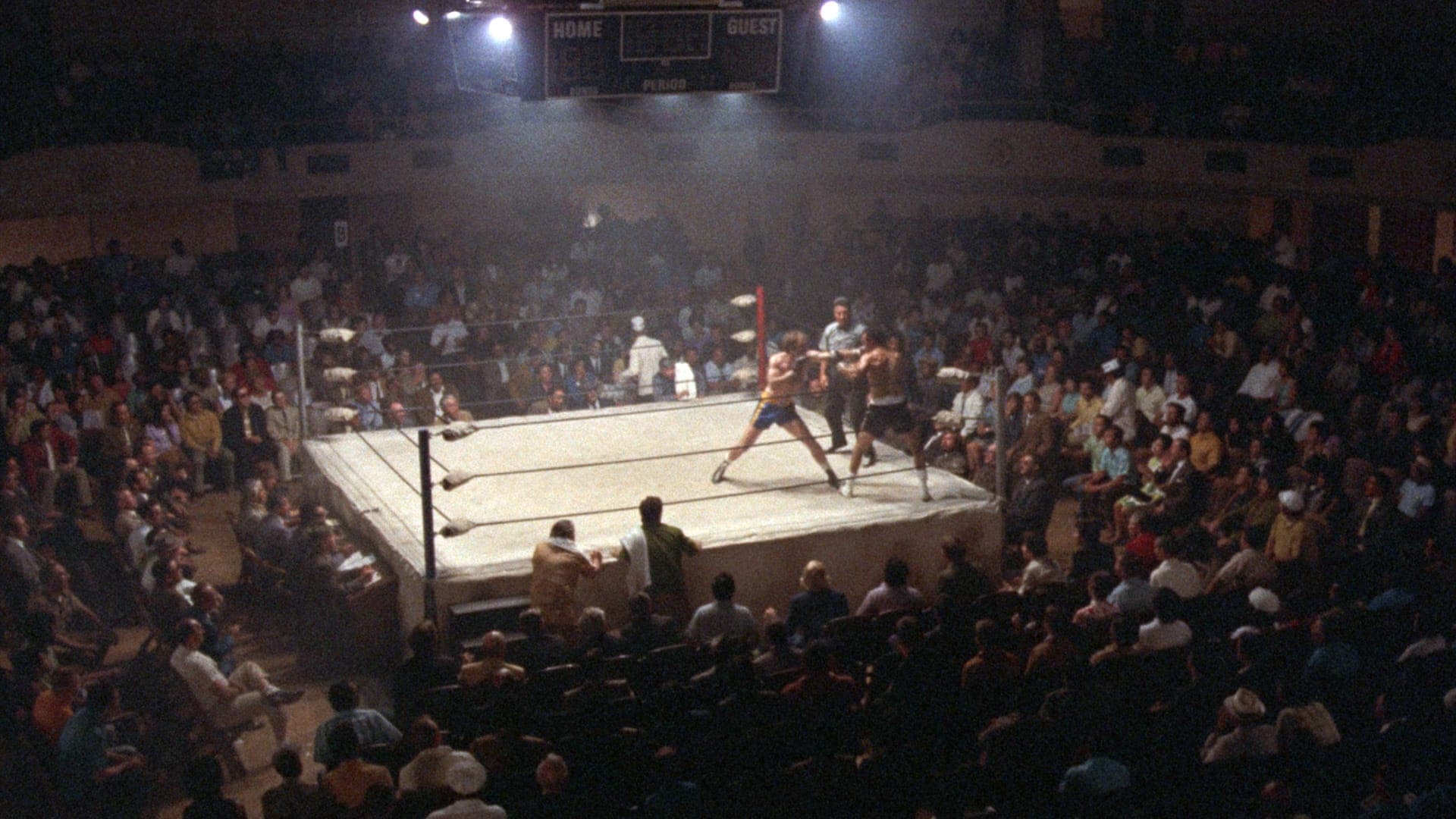 Città amara - Fat City