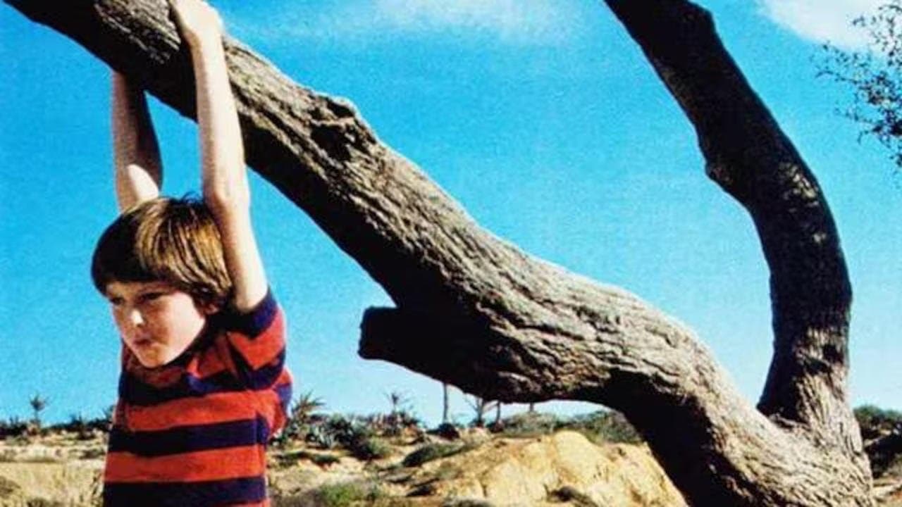 Incompreso - L'ultimo sole d'estate