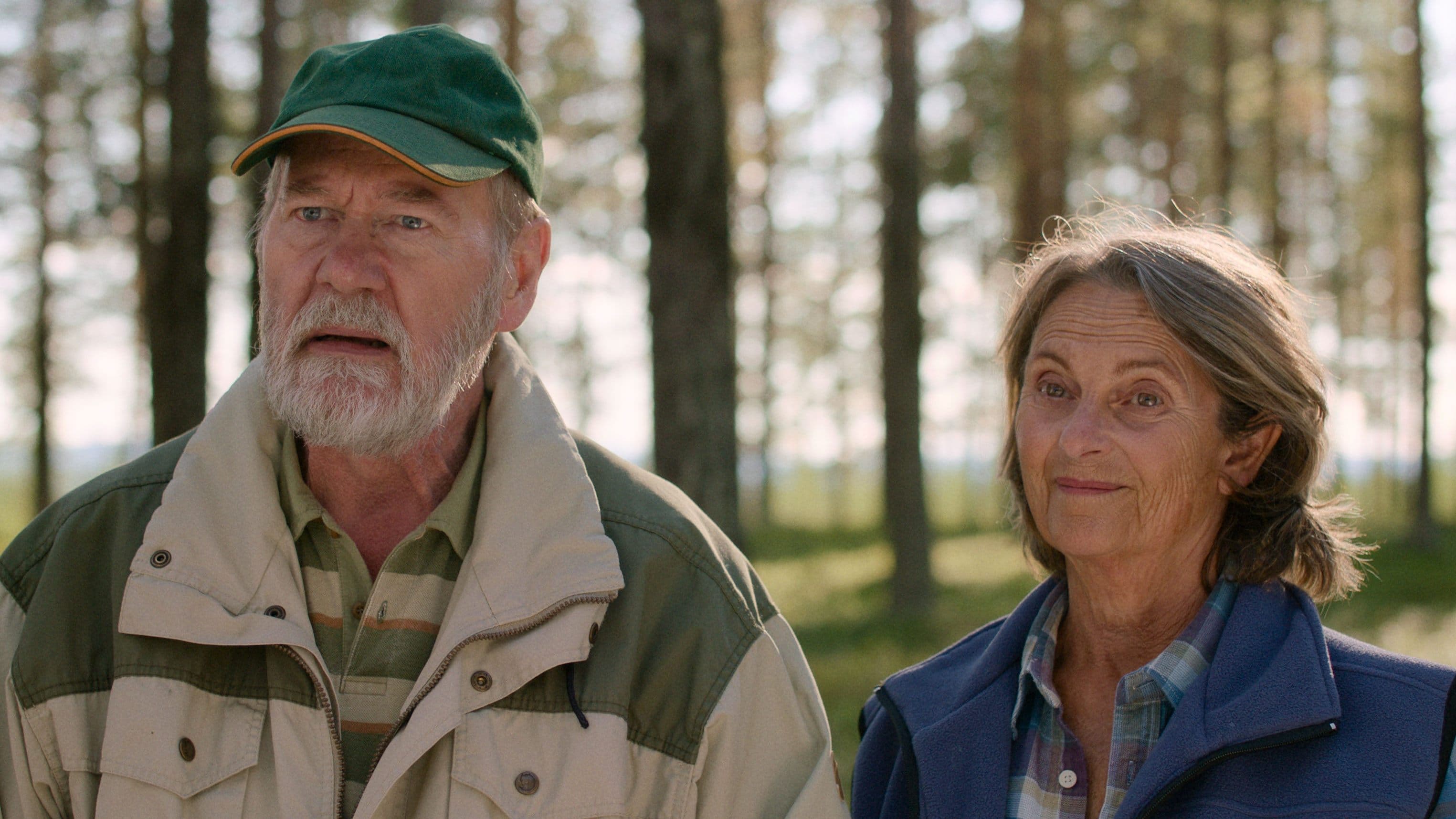 Un giorno tutto questo sarà tuo