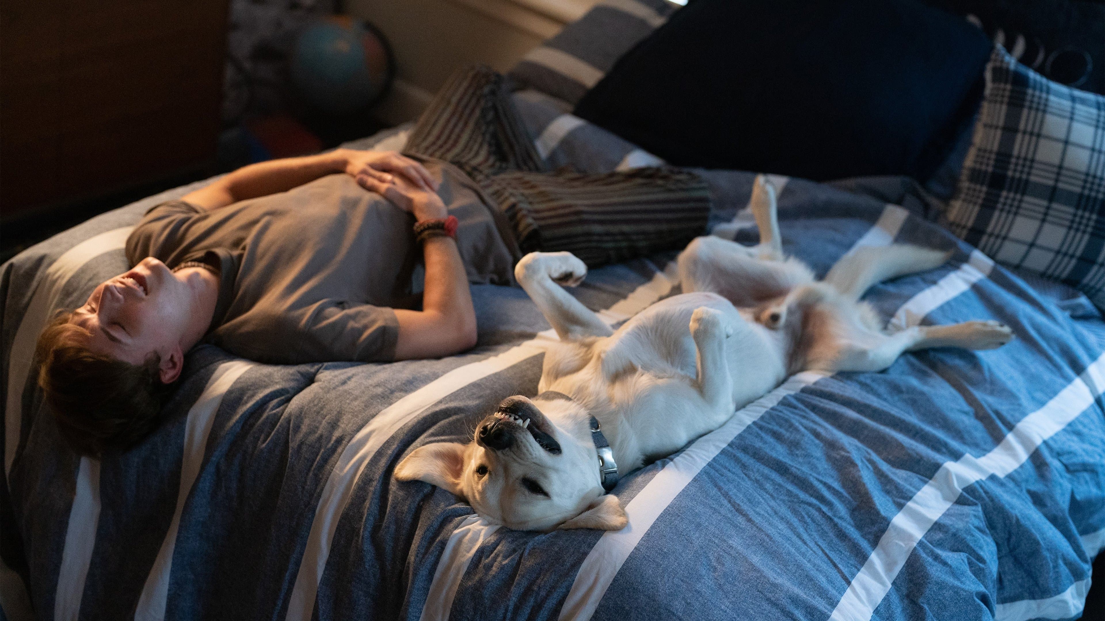 Dog Gone - Lo straordinario viaggio di Gonker