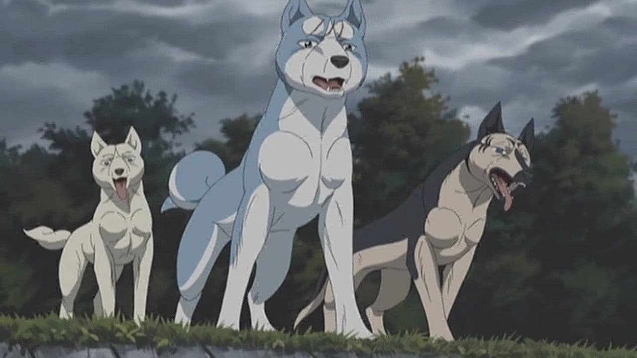 銀牙伝説ウィード