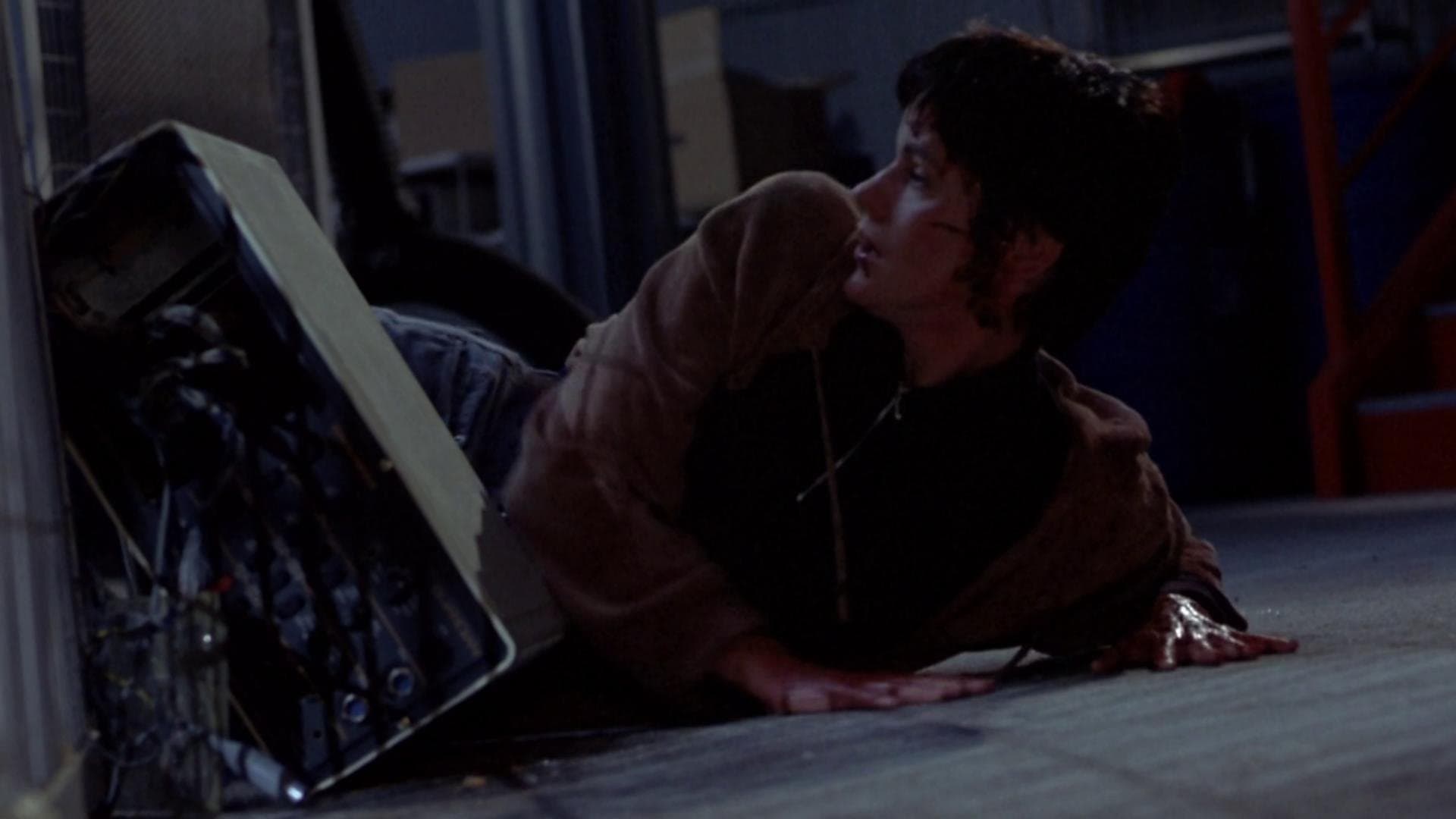 Il migliore amico dell'uomo