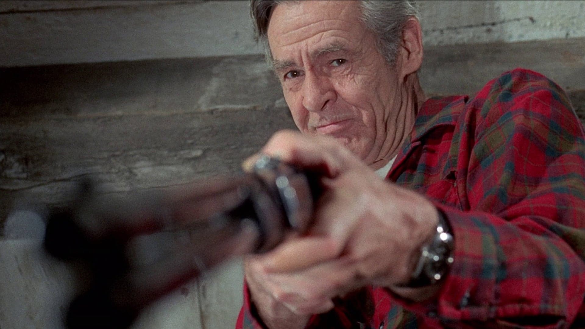 La corsa della lepre attraverso i campi