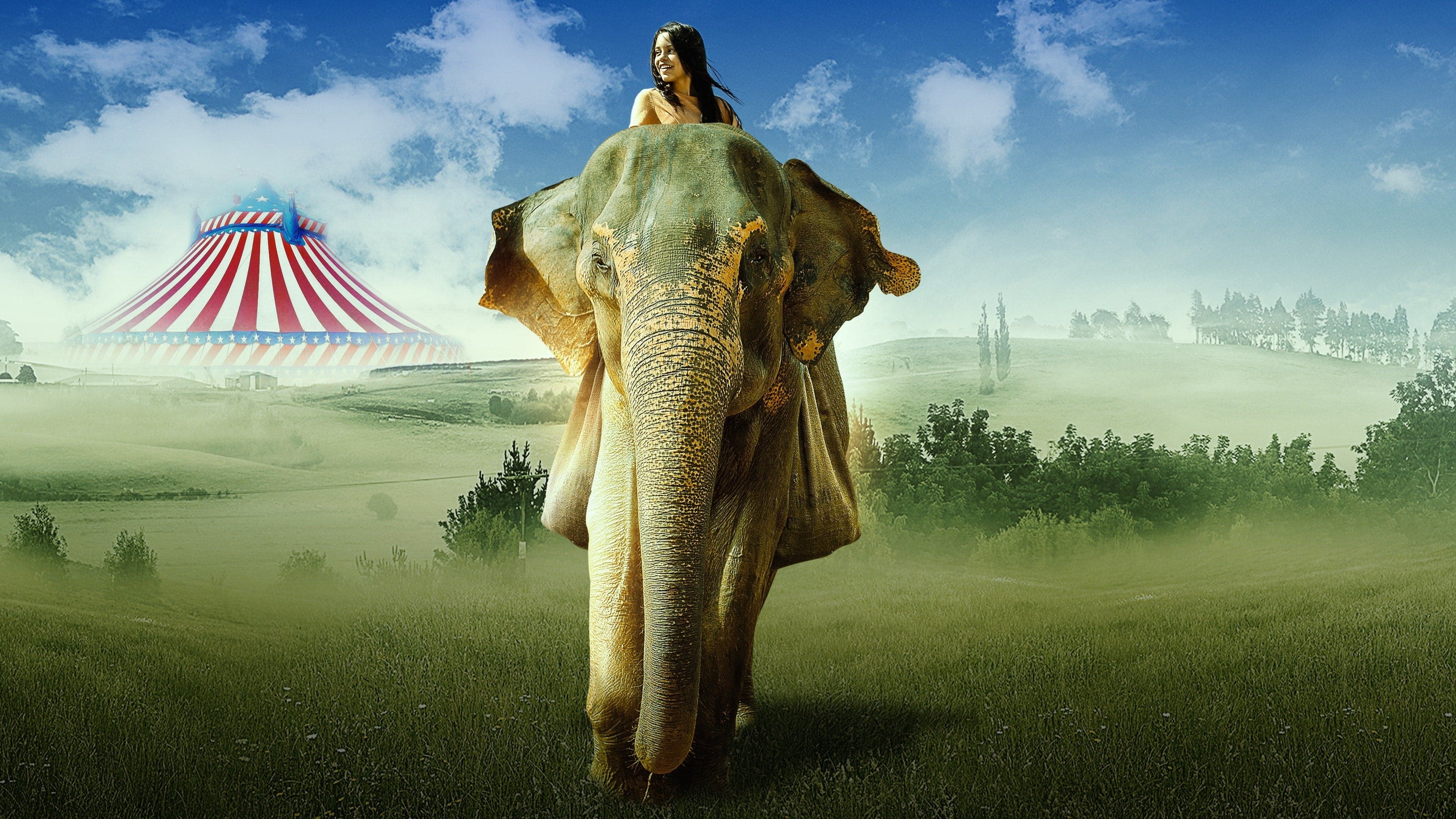 In viaggio con Flora