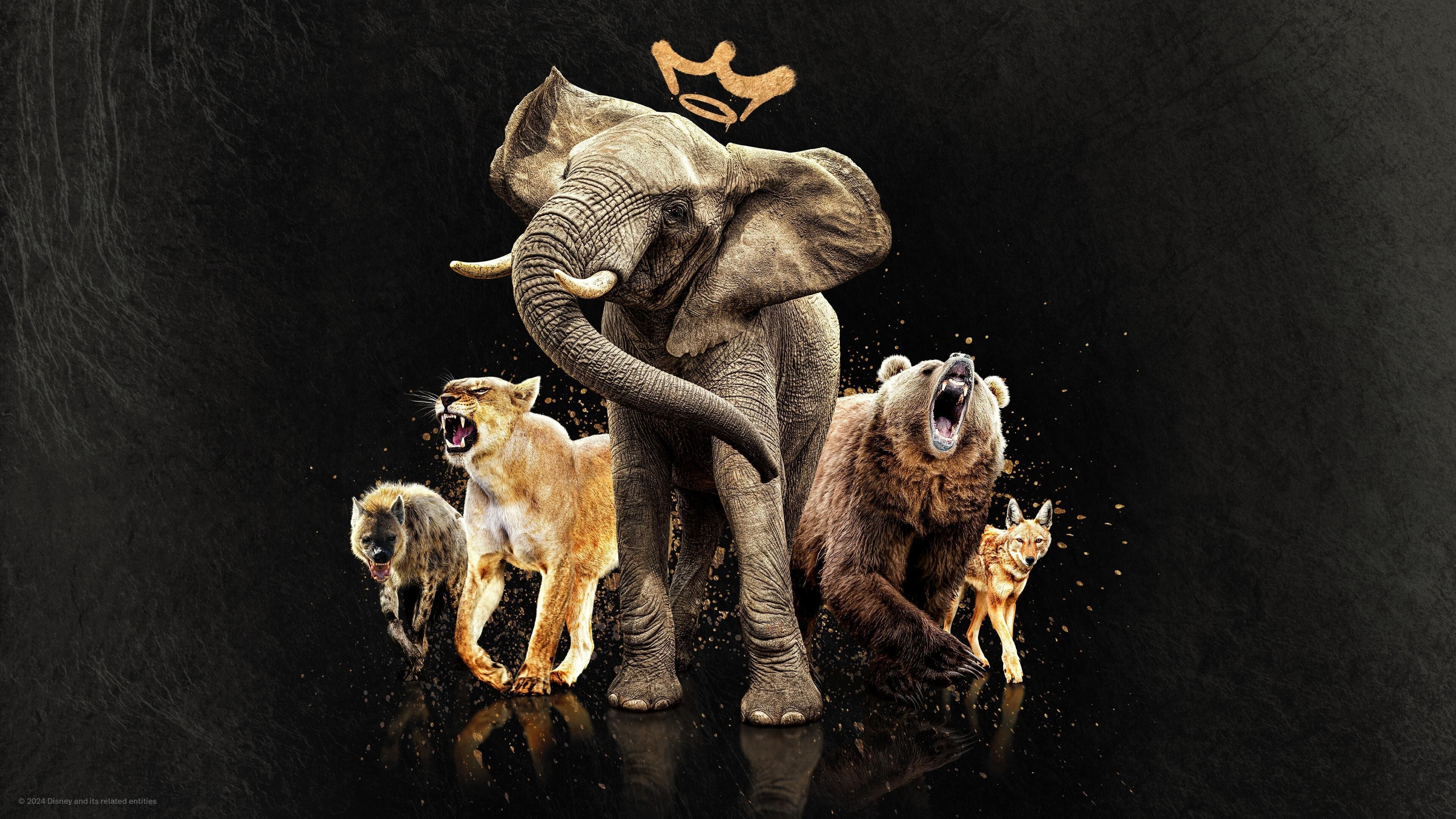 Queens: le regine della natura