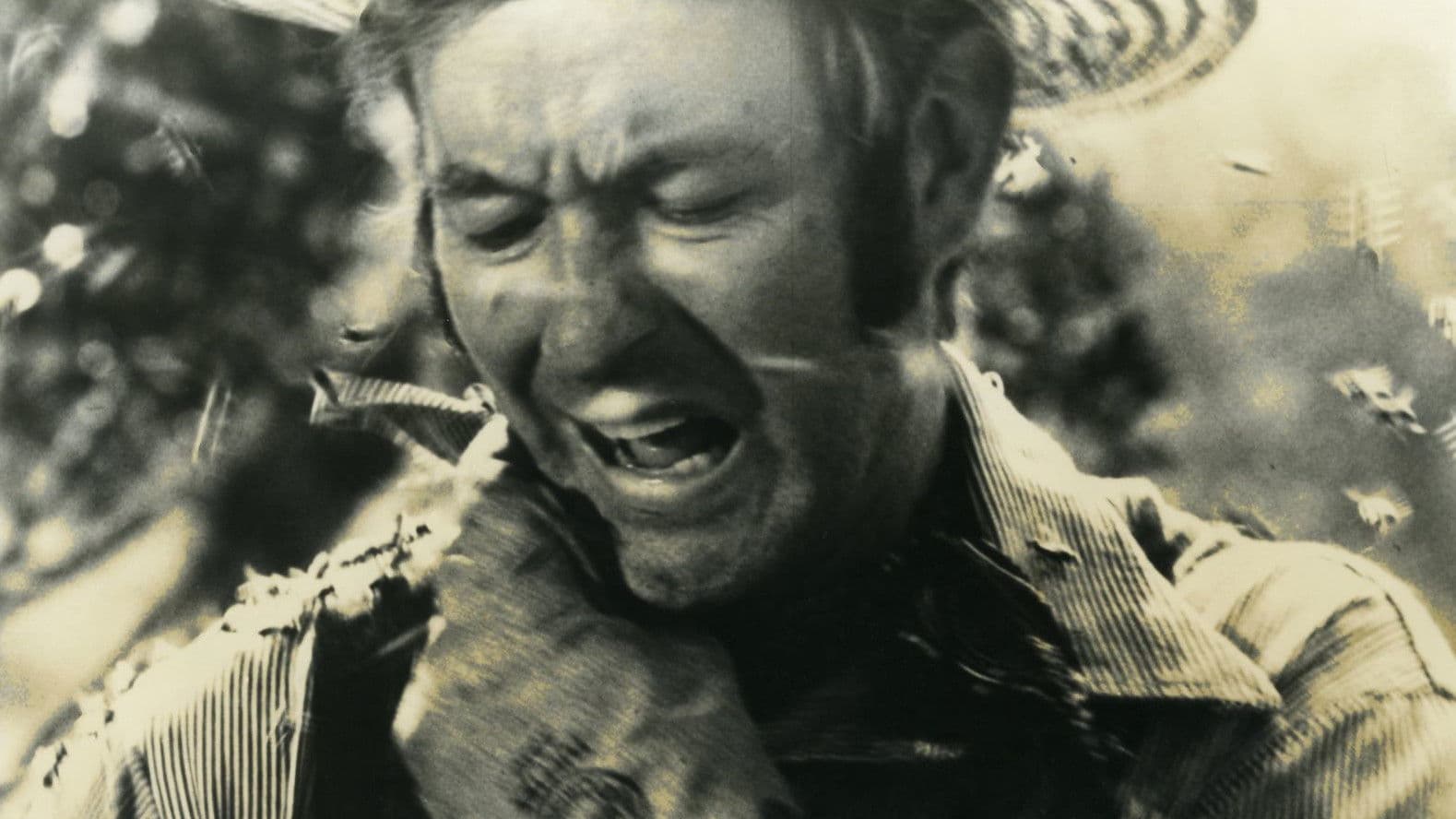 Bees: lo sciame che uccide