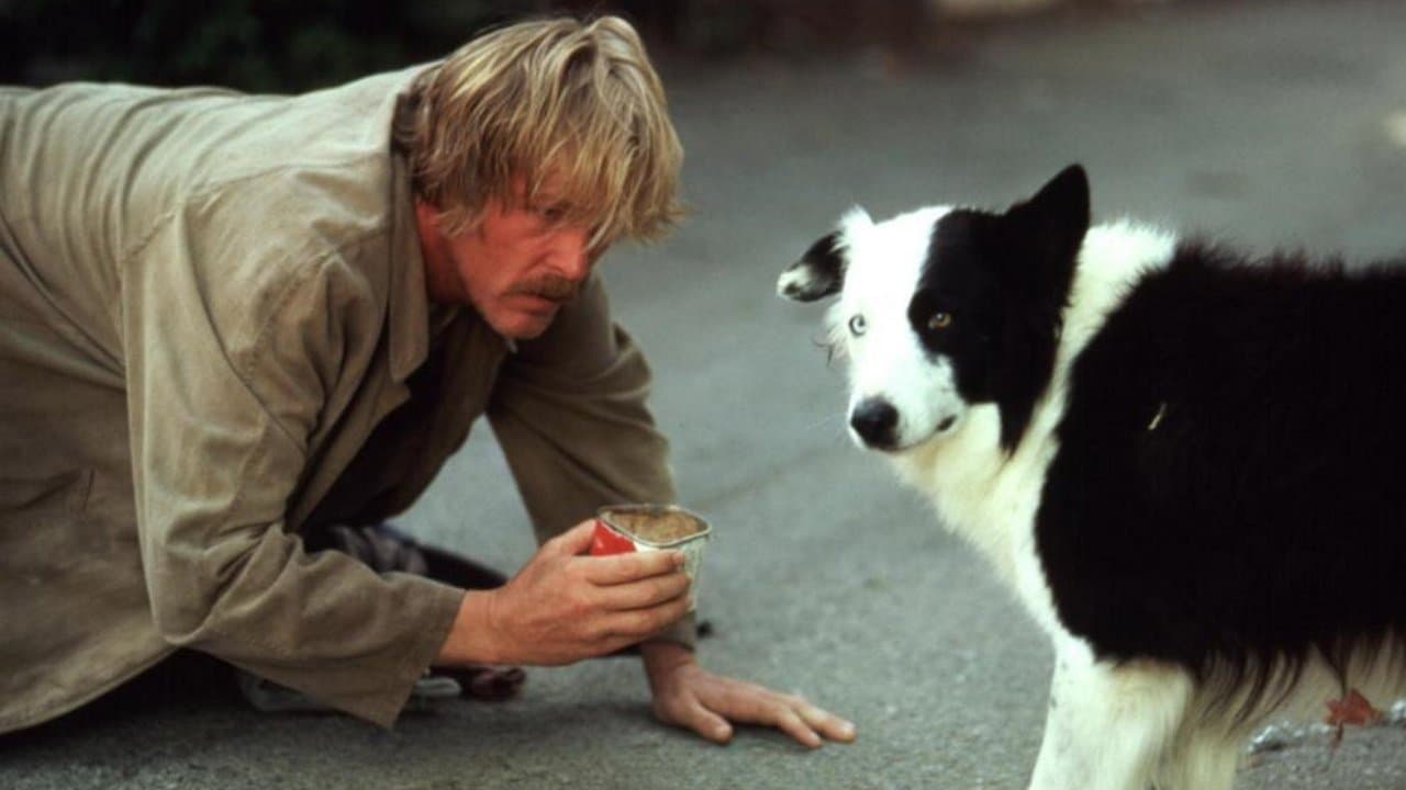 Su e giù per Beverly Hills