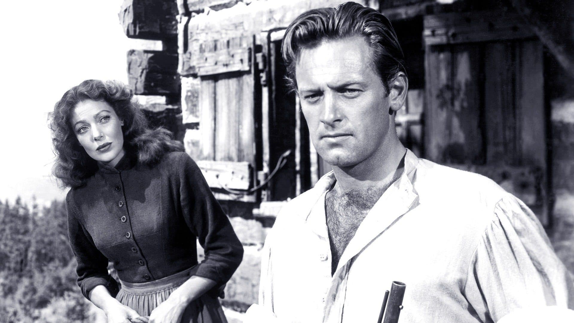 Il vagabondo della foresta