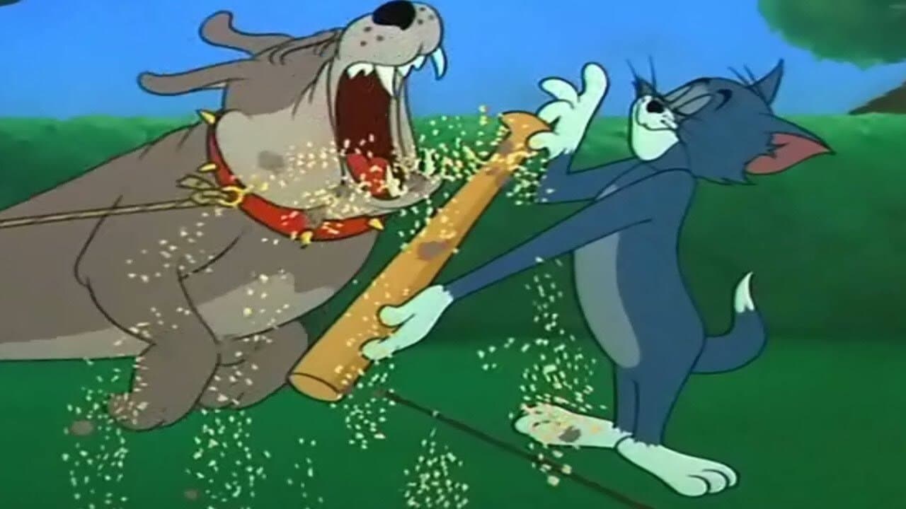 Cane legato non morde