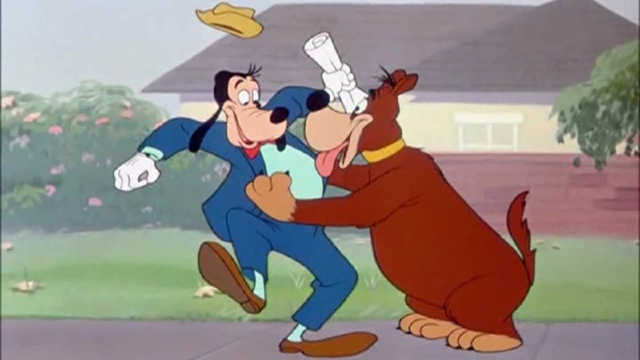 Il migliore amico dell'uomo