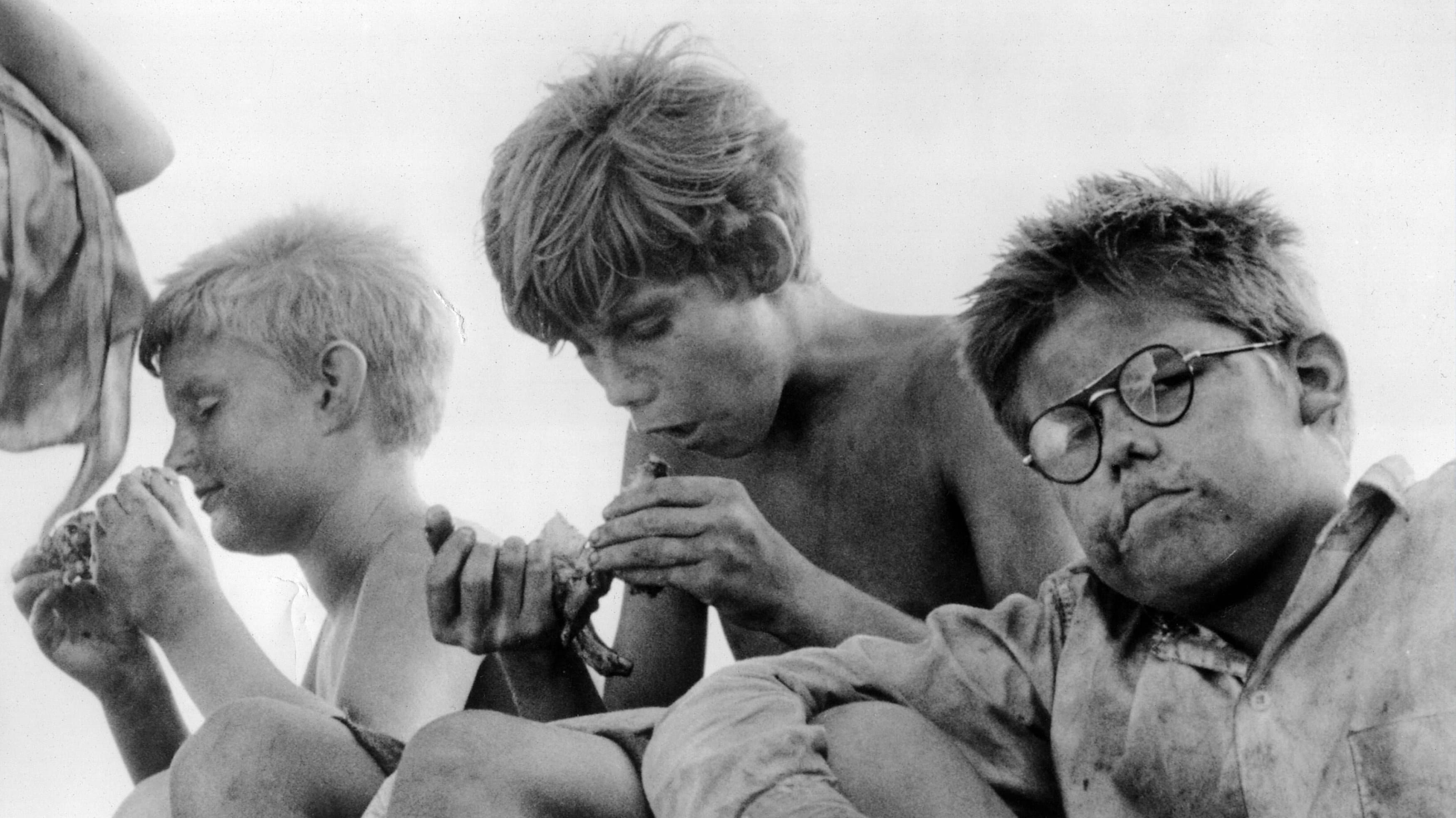 Il signore delle mosche