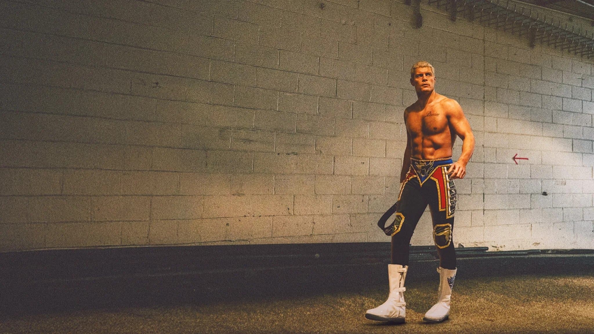 WWE: la storia dietro le quinte