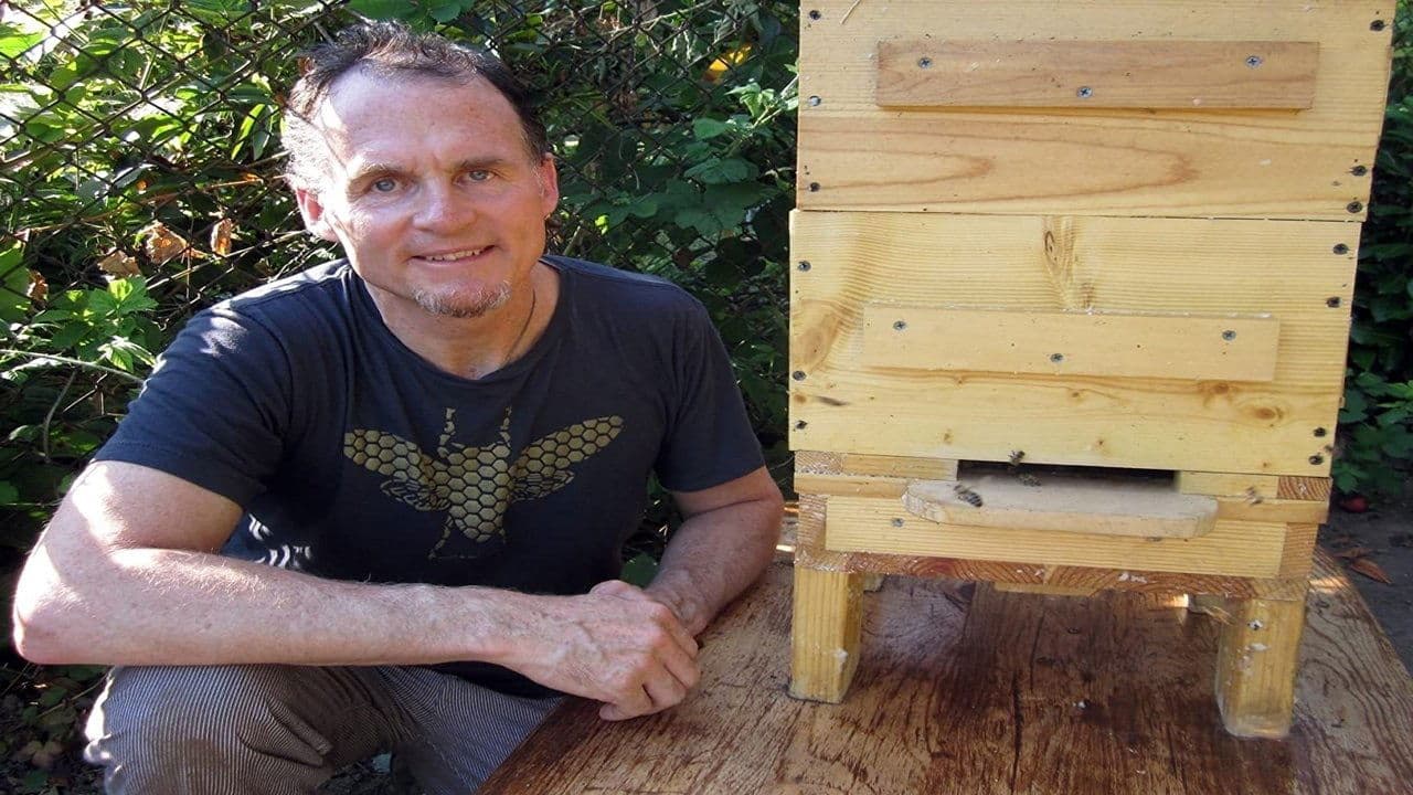 Queen of the Sun: What Are the Bees Telling Us?