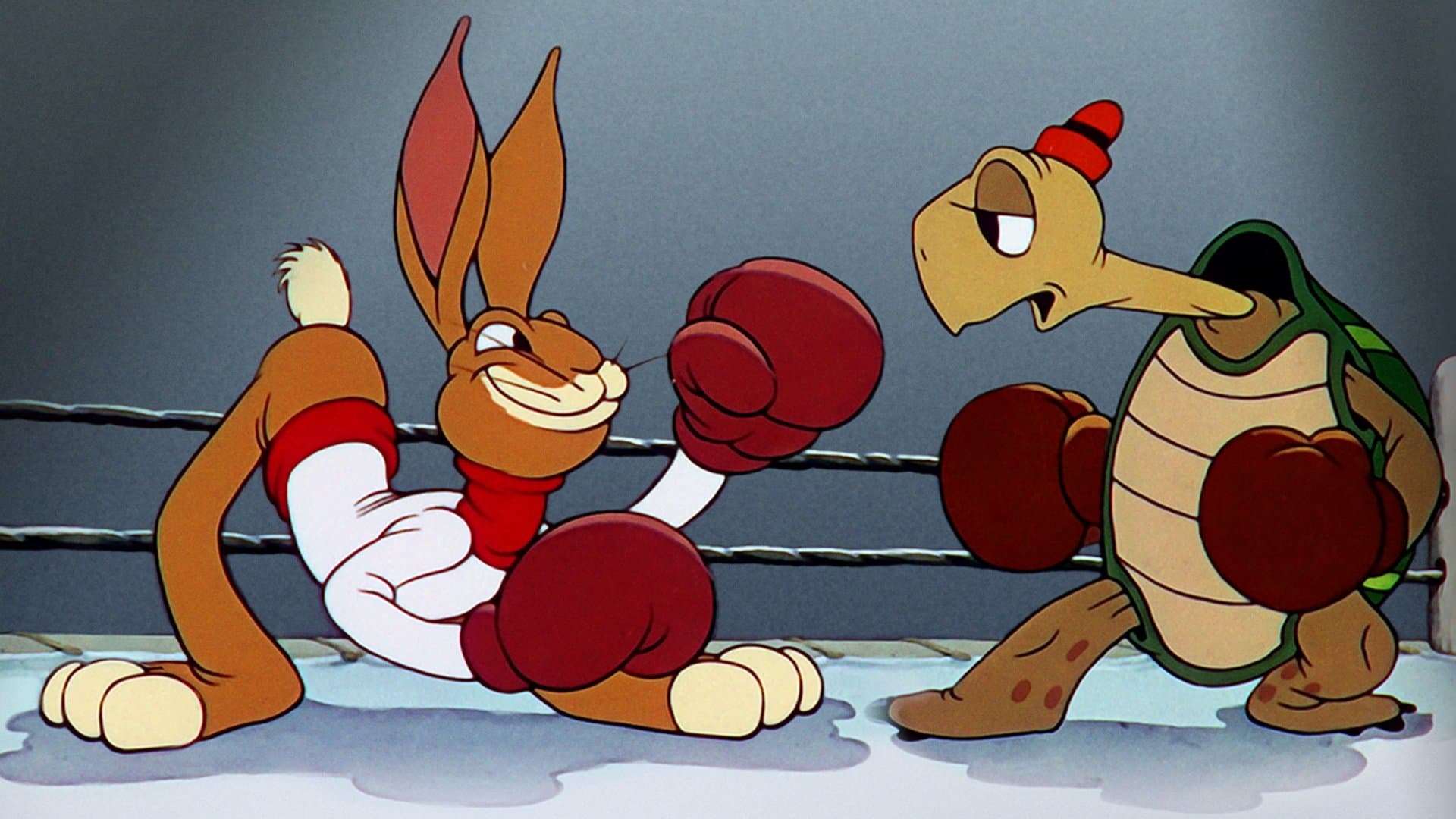 Il ritorno di Toby Tartaruga