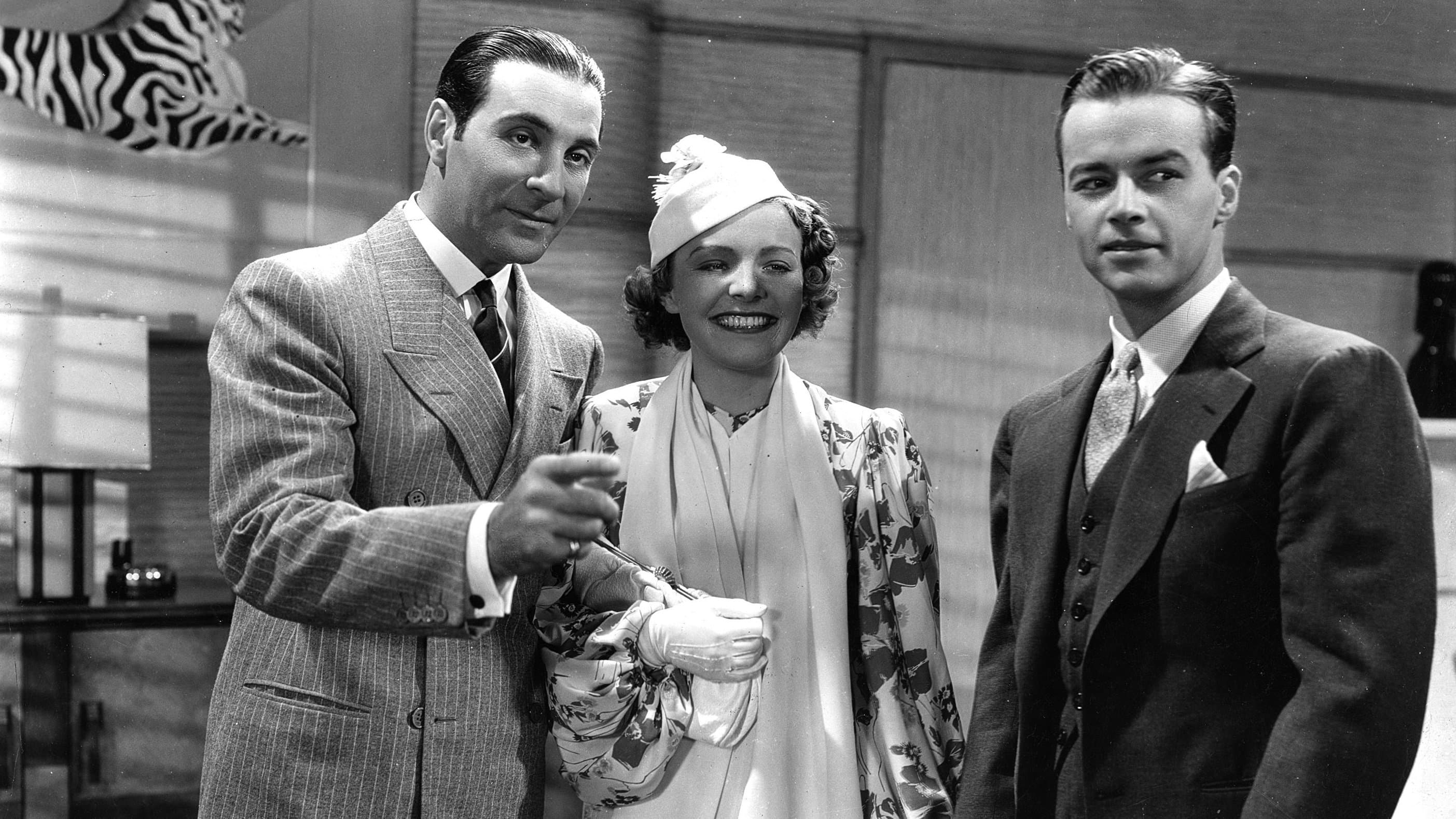 Il mistero del gatto grigio