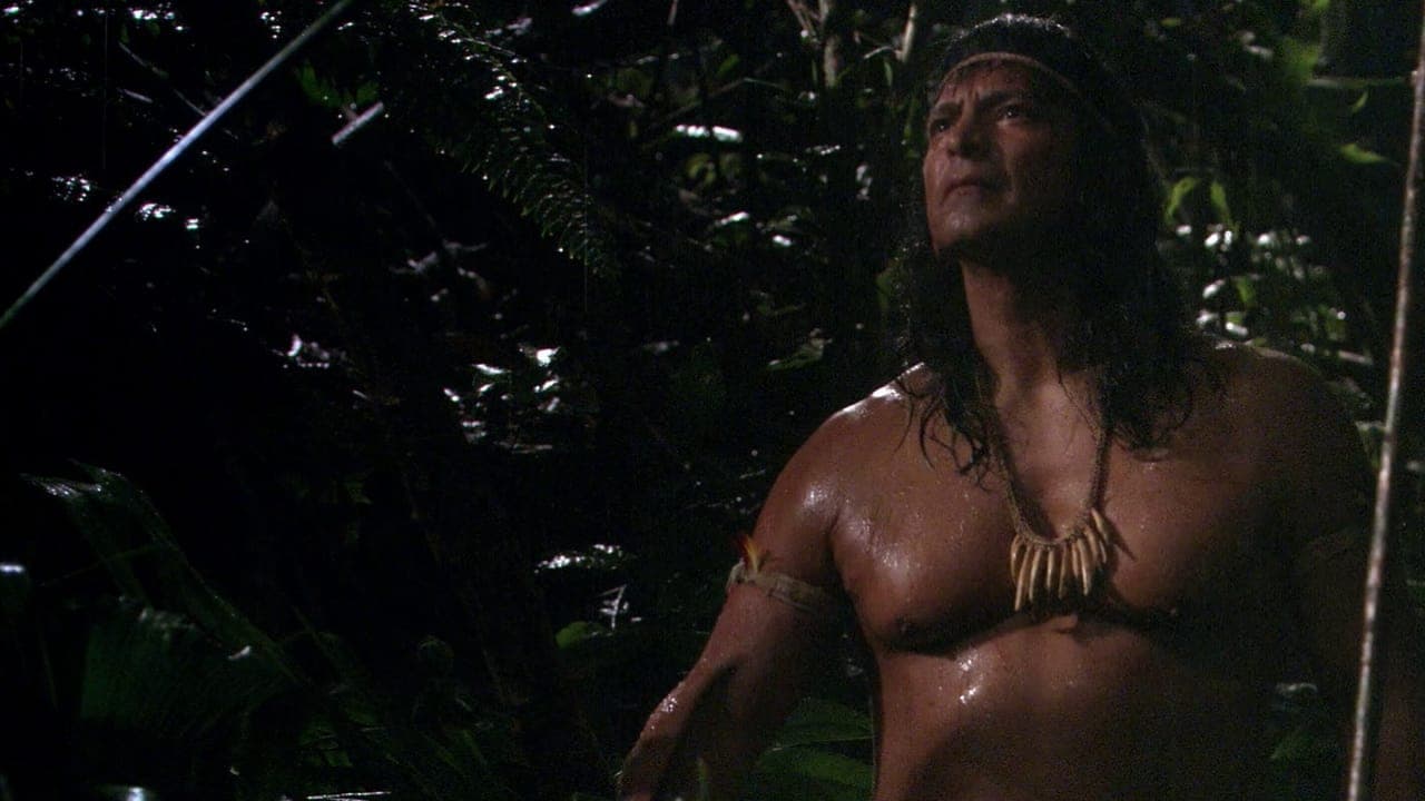 La punta della lancia